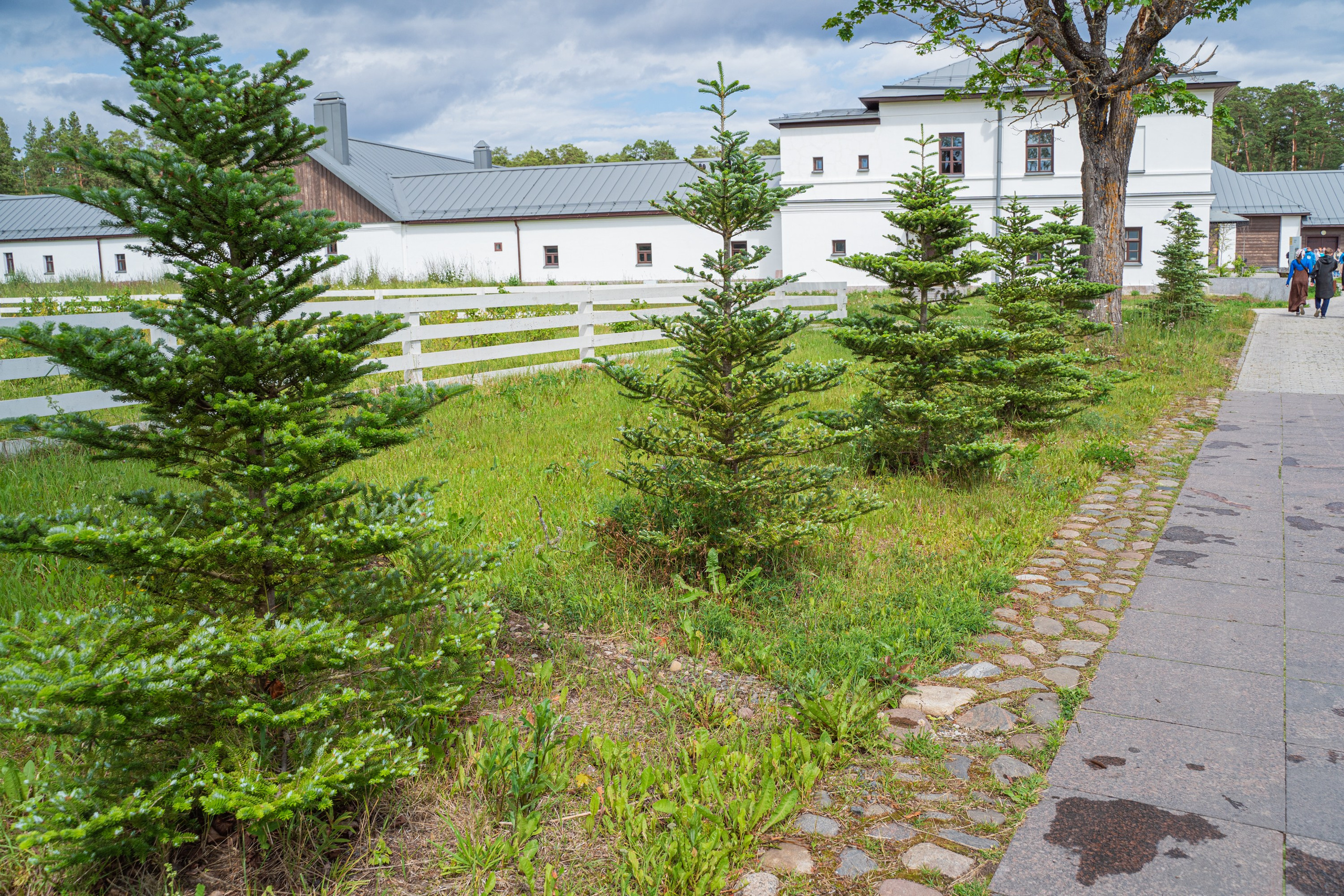 Гидровыезд в Коневский мужской монастырь. Свадебный, семейный, портретный, репортажный фотограф в Санкт-Петербурге