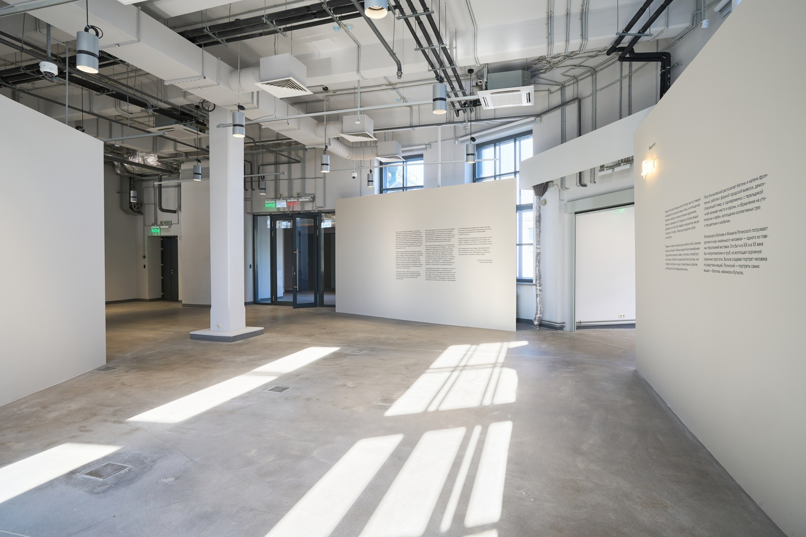 Открытие филиала Третьяковской Галереи. Фотограф Евгений Шаров