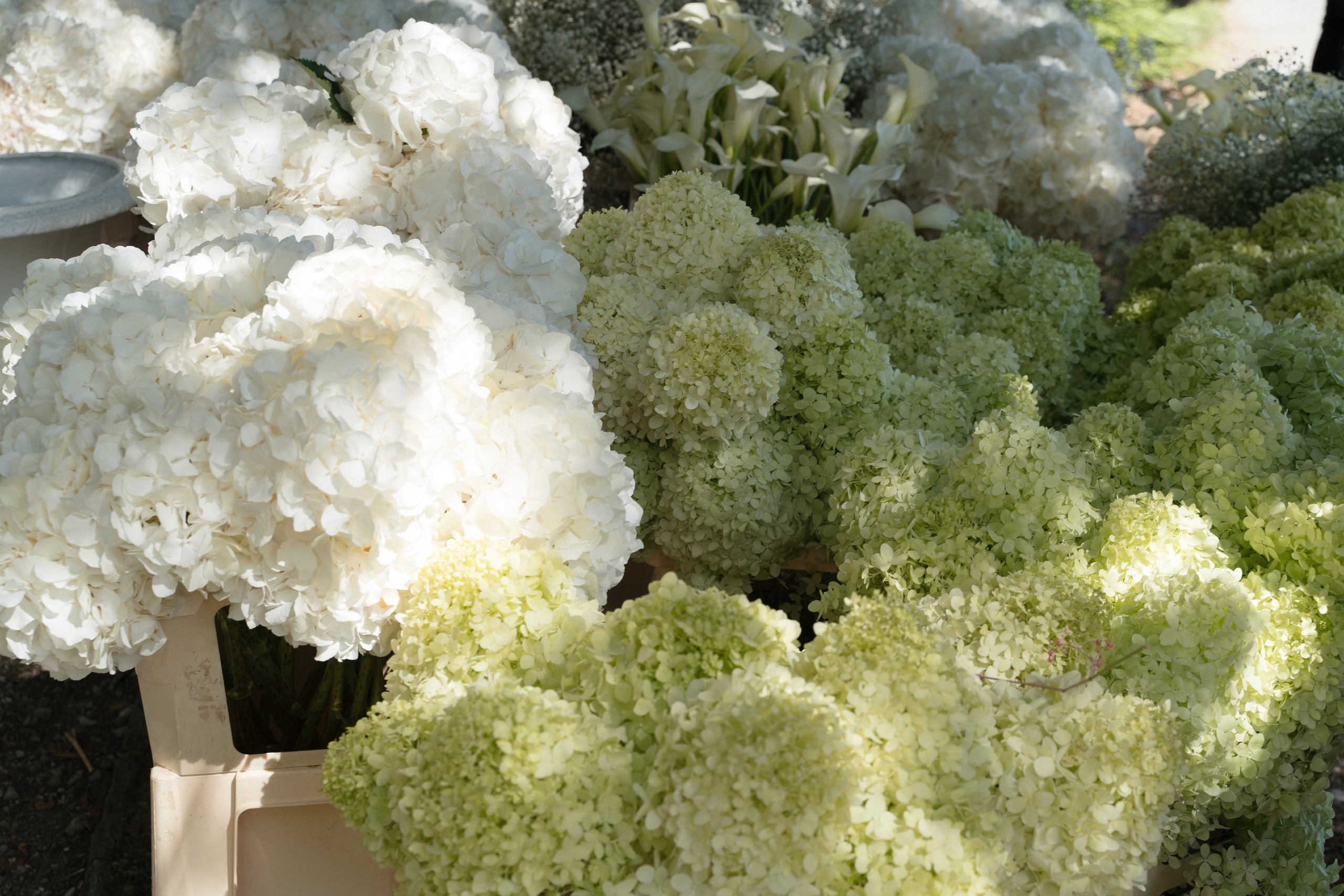 Villa Pizzo. Valeria Coconova Photographer Italy Como Milan