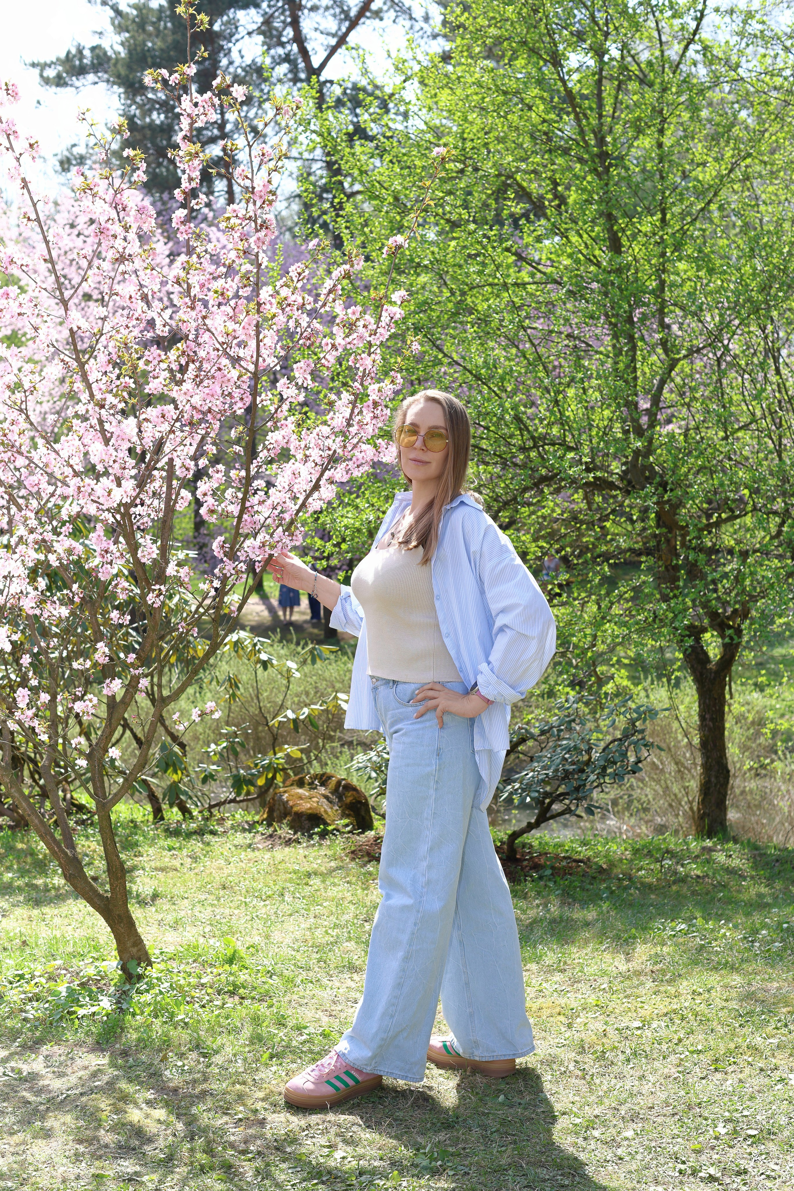 Цветение сакуры. Фотограф в Москве и Подмосковье, Николай Сорокин