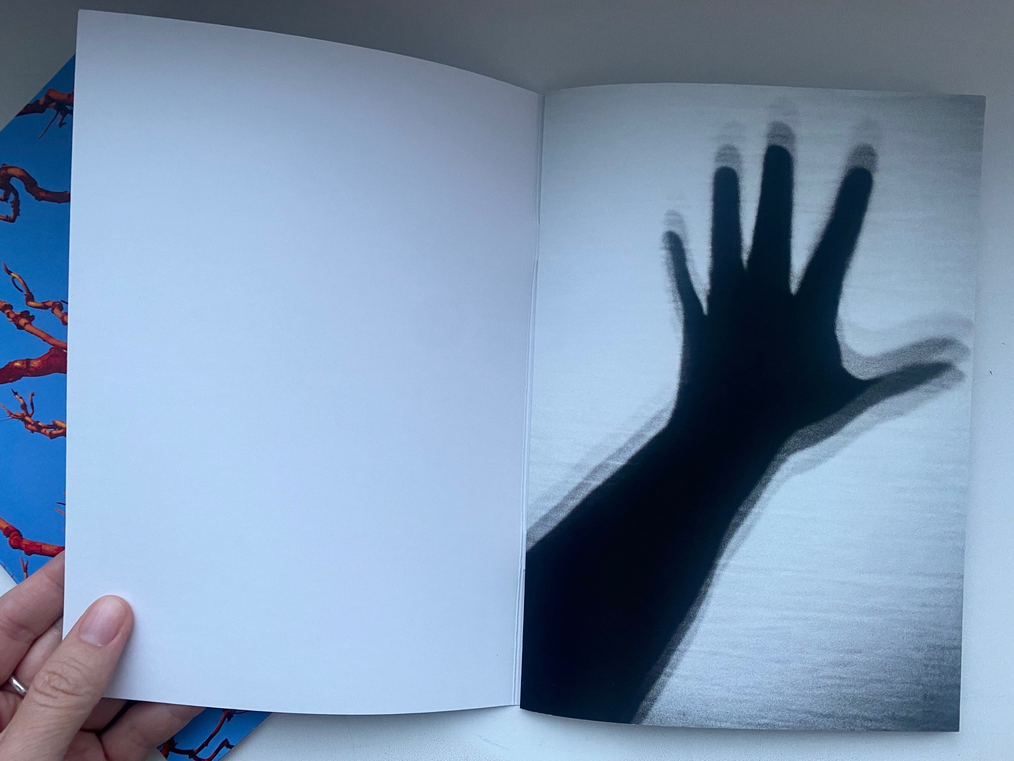 Бег во сне зин. Artist Anna Snegina Художница Анна Снегина