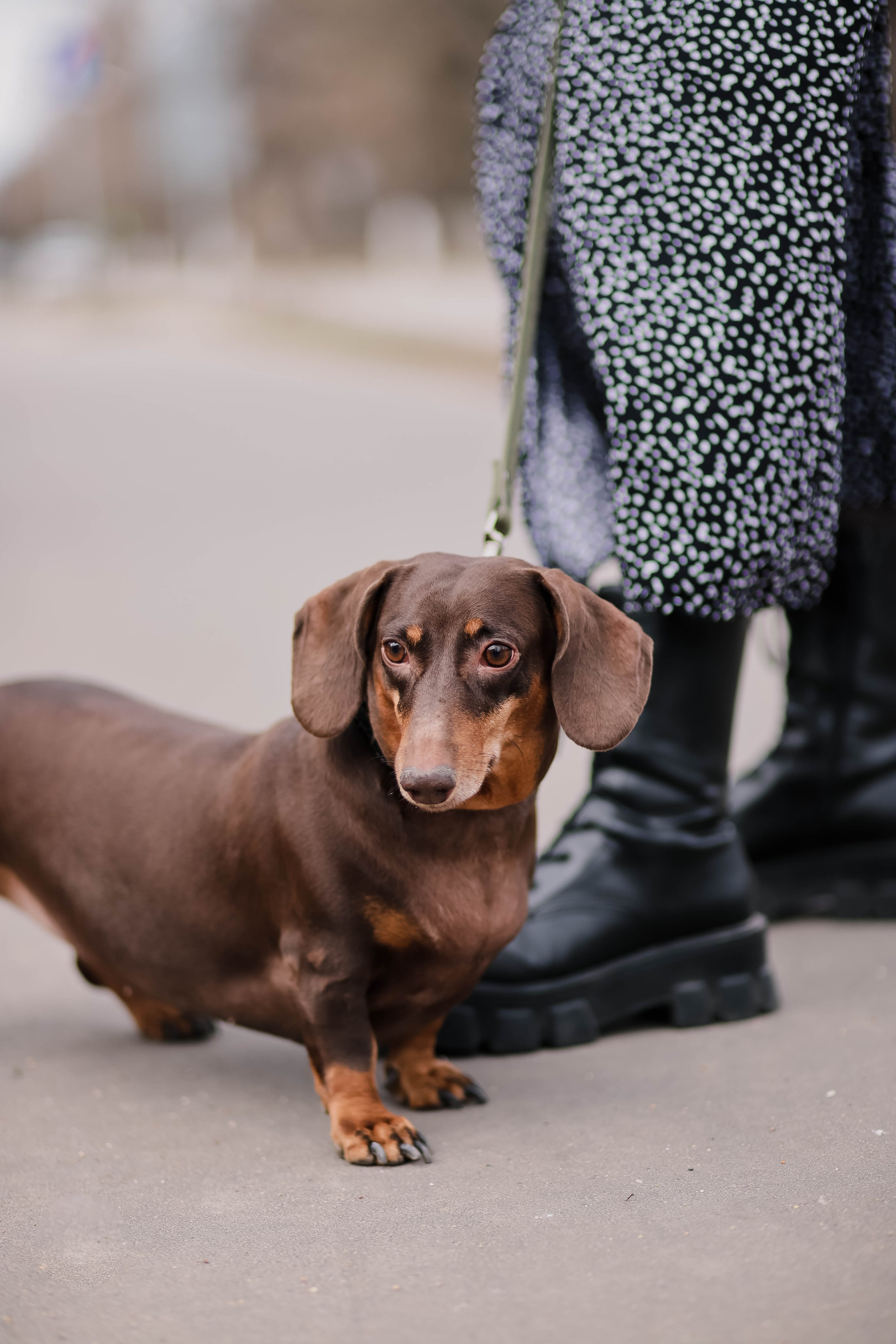 Тоня и Миша. Свадебный, семейный и детский фотограф в Люберцах Зайцева Анастасия