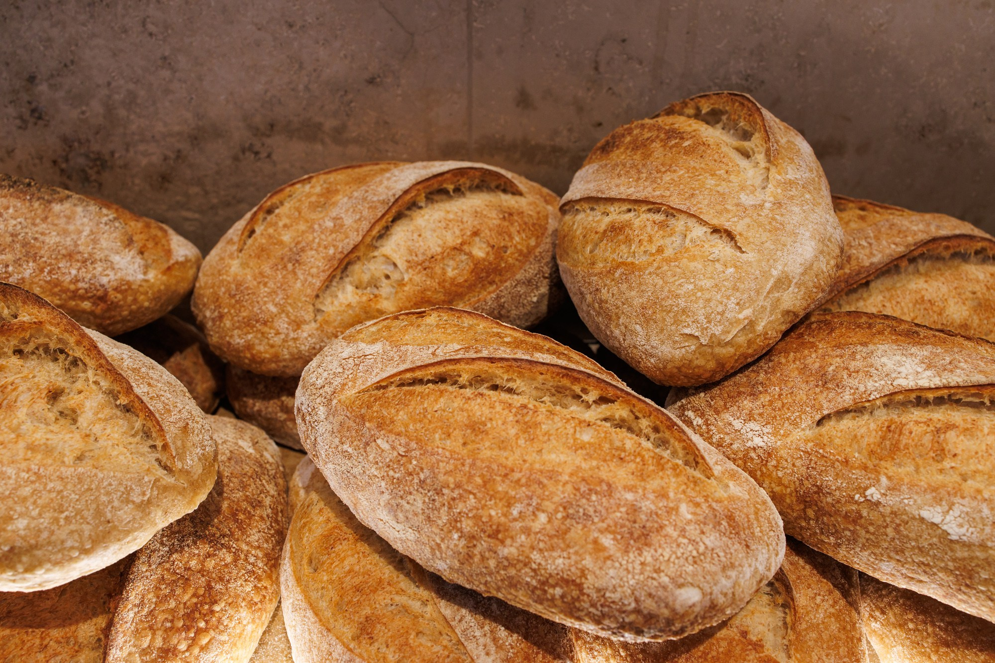 Булка. Фотограф Ксения Колесникова. Интерьерная и портретная съемка в Москве