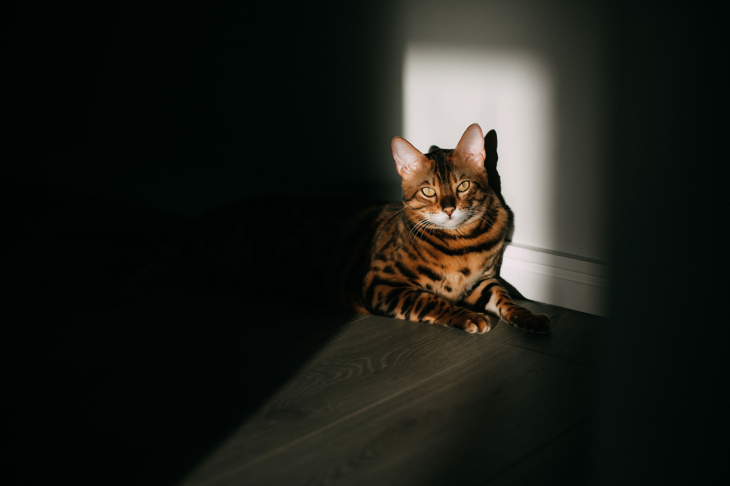 Юля, Дима, Аня. Семейный и детский фотограф в Омске Мусина Мария