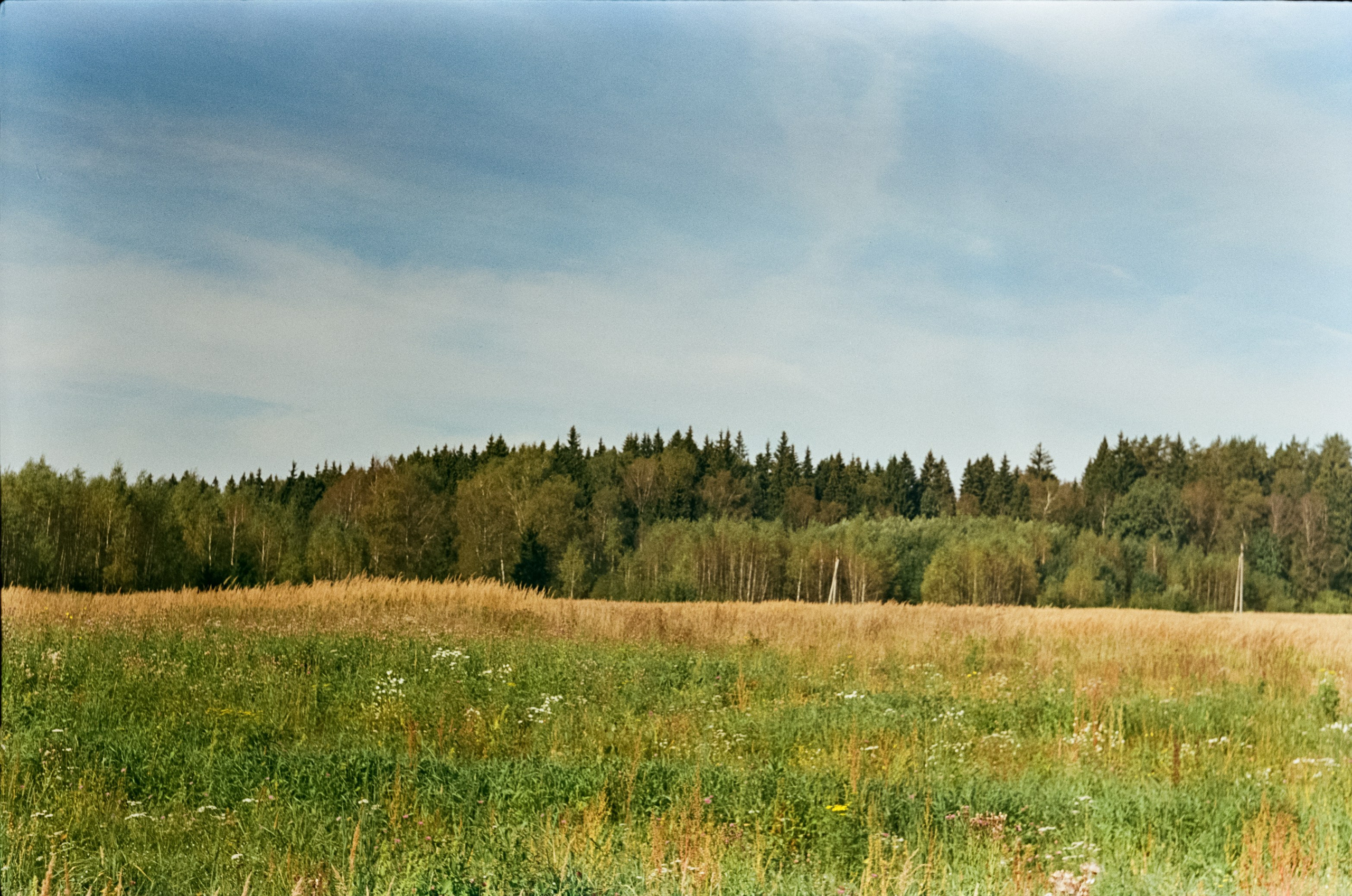 Edixa-MAT REFLEX Mod.D | Carl Zeiss Jena Biotar 58 mm f2 T | SFL 250D