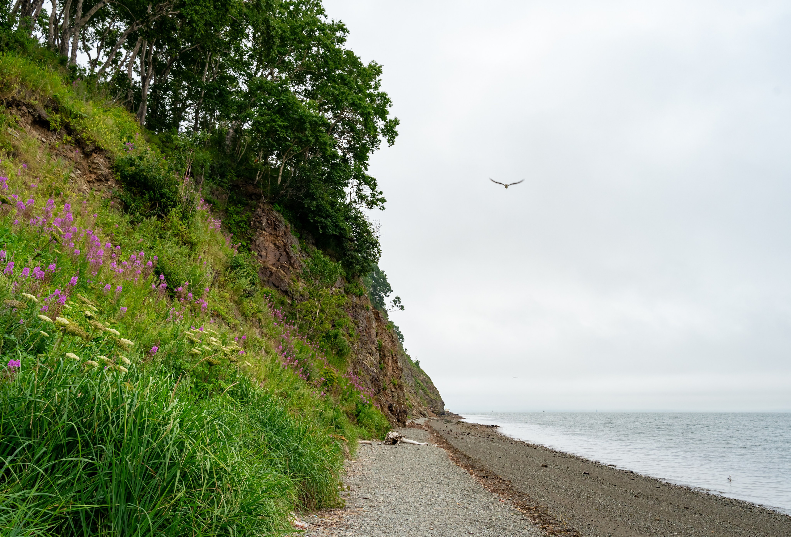 Камчатка. Семейный фотограф Варвара Сорока в городе Москве
