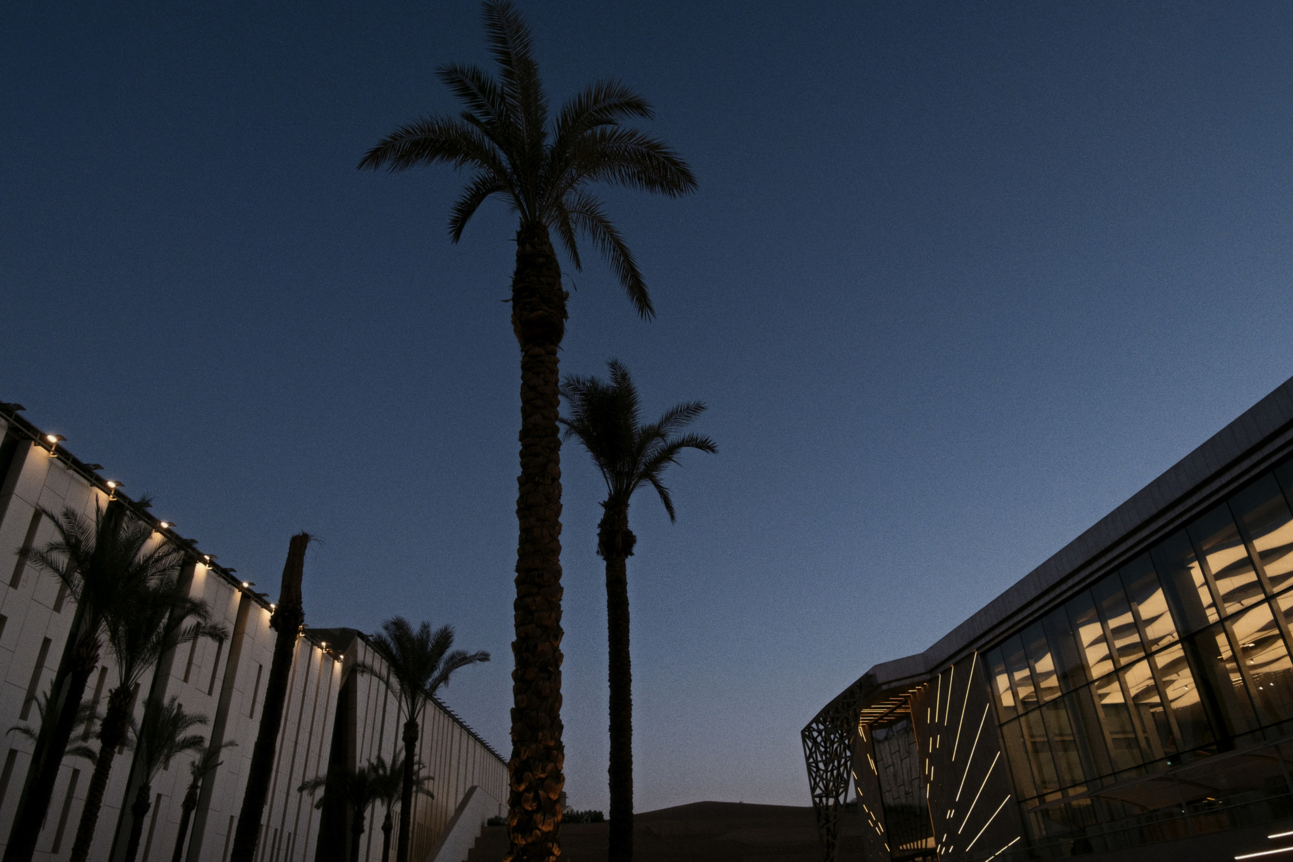 Grand Egyptian Museum / Cairo, Egypt AW25. Фотограф Юрин Евгений