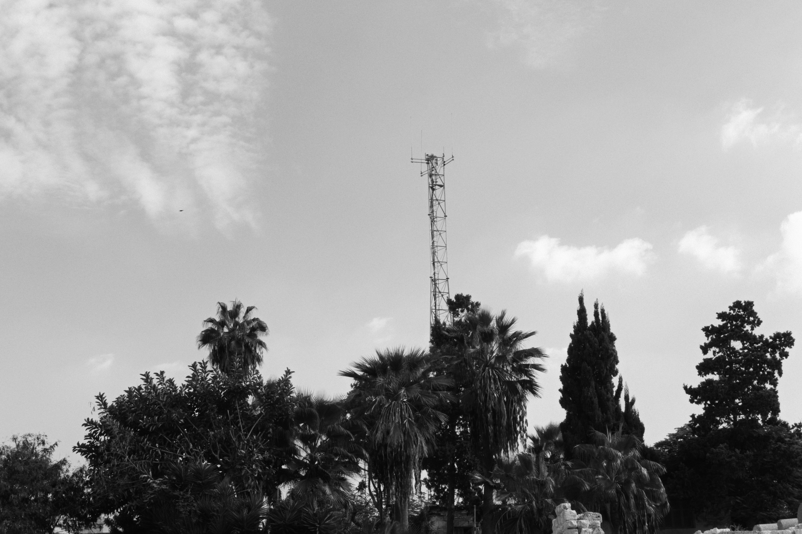 Alexandria / Egypt AW25. Фотограф Юрин Евгений