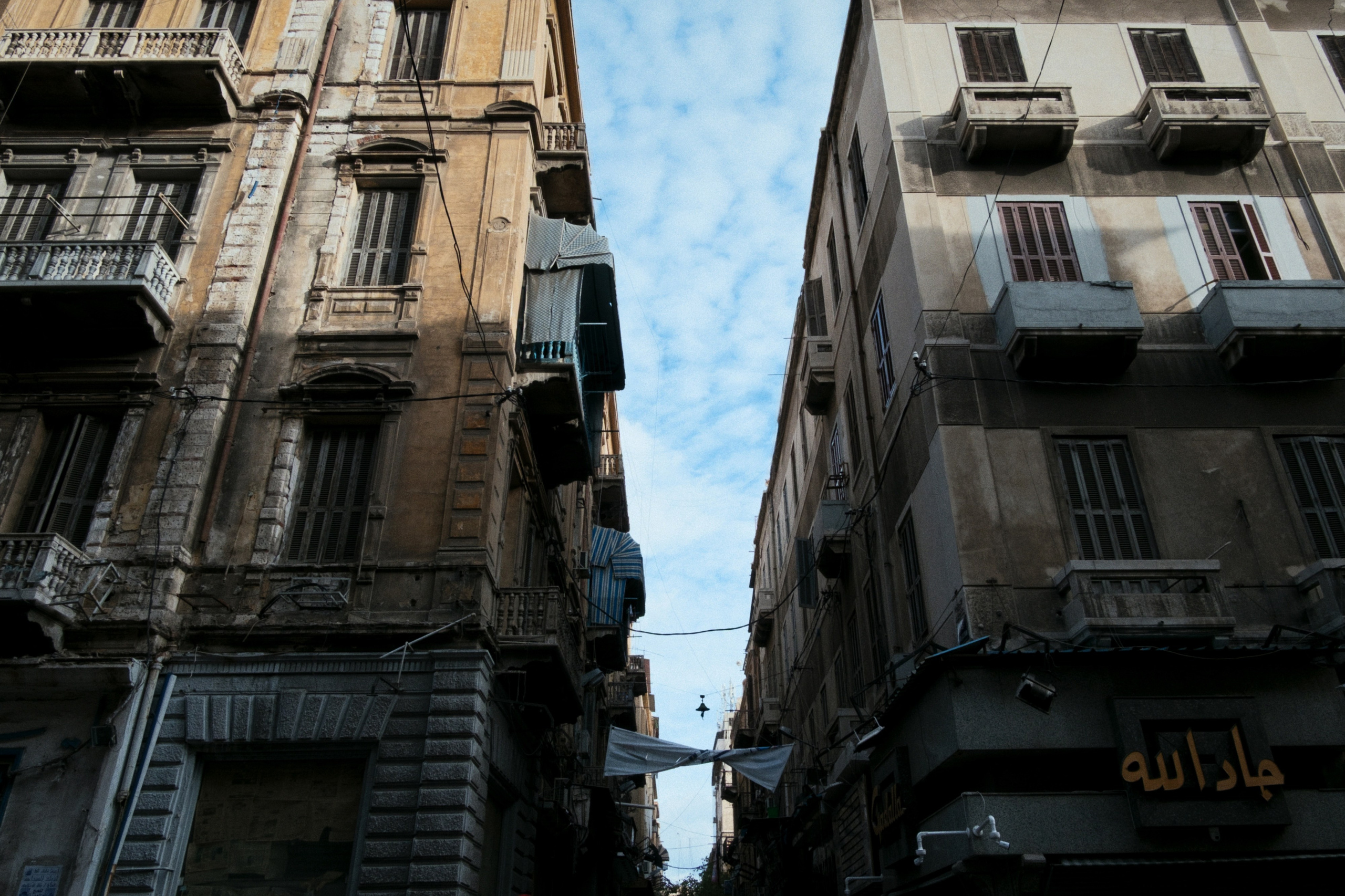 Alexandria / Egypt AW25. Фотограф Юрин Евгений