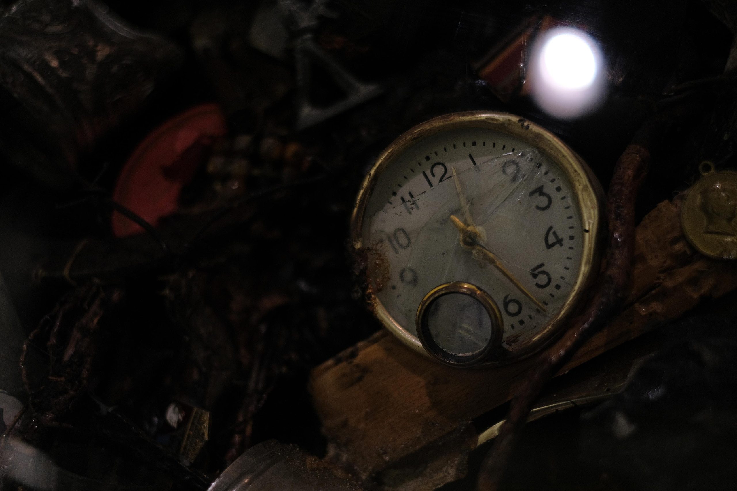 Эрарта. Фотограф Мария Хлебникова Санкт-Петербург Москва