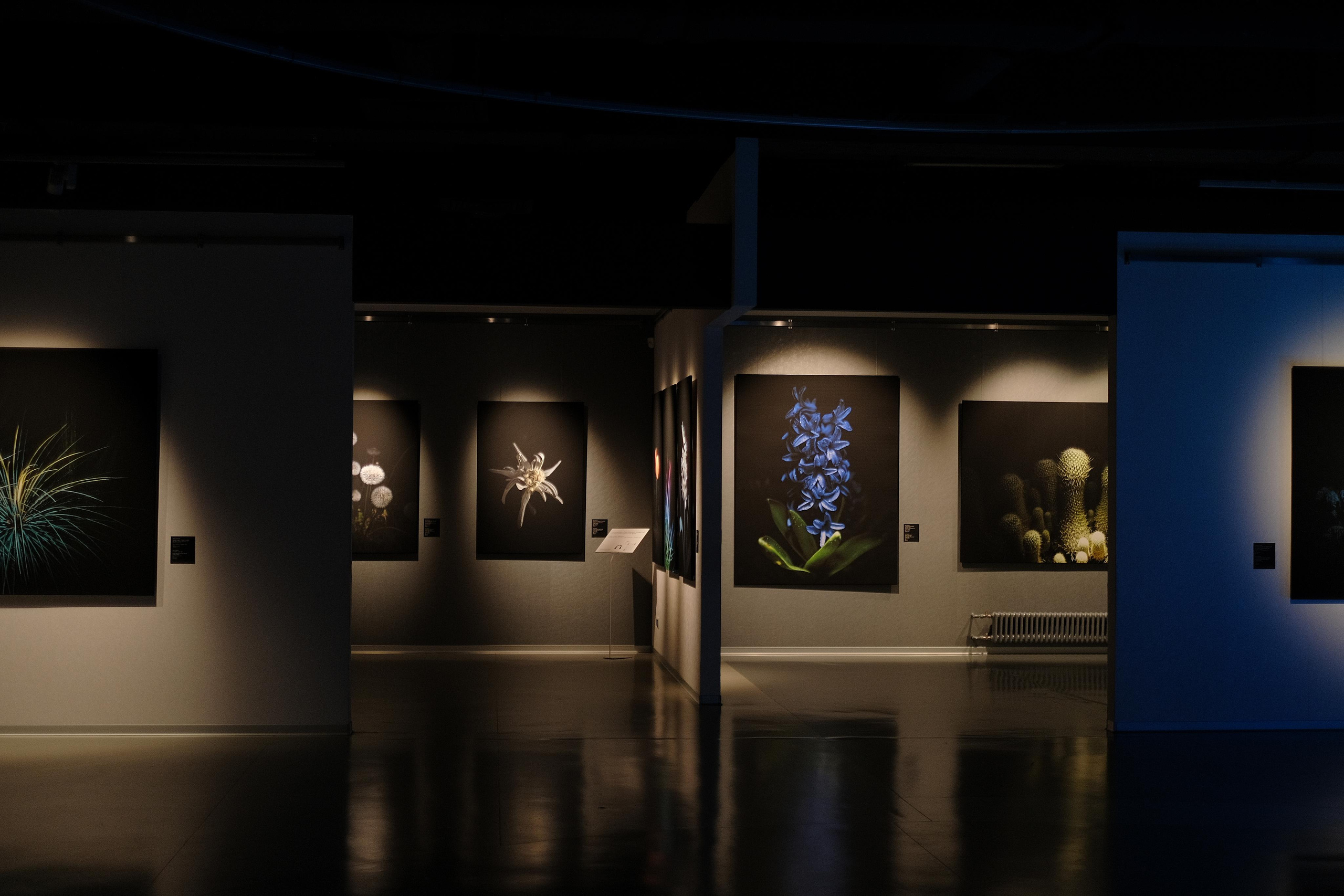 Эрарта. Фотограф Мария Хлебникова Санкт-Петербург Москва