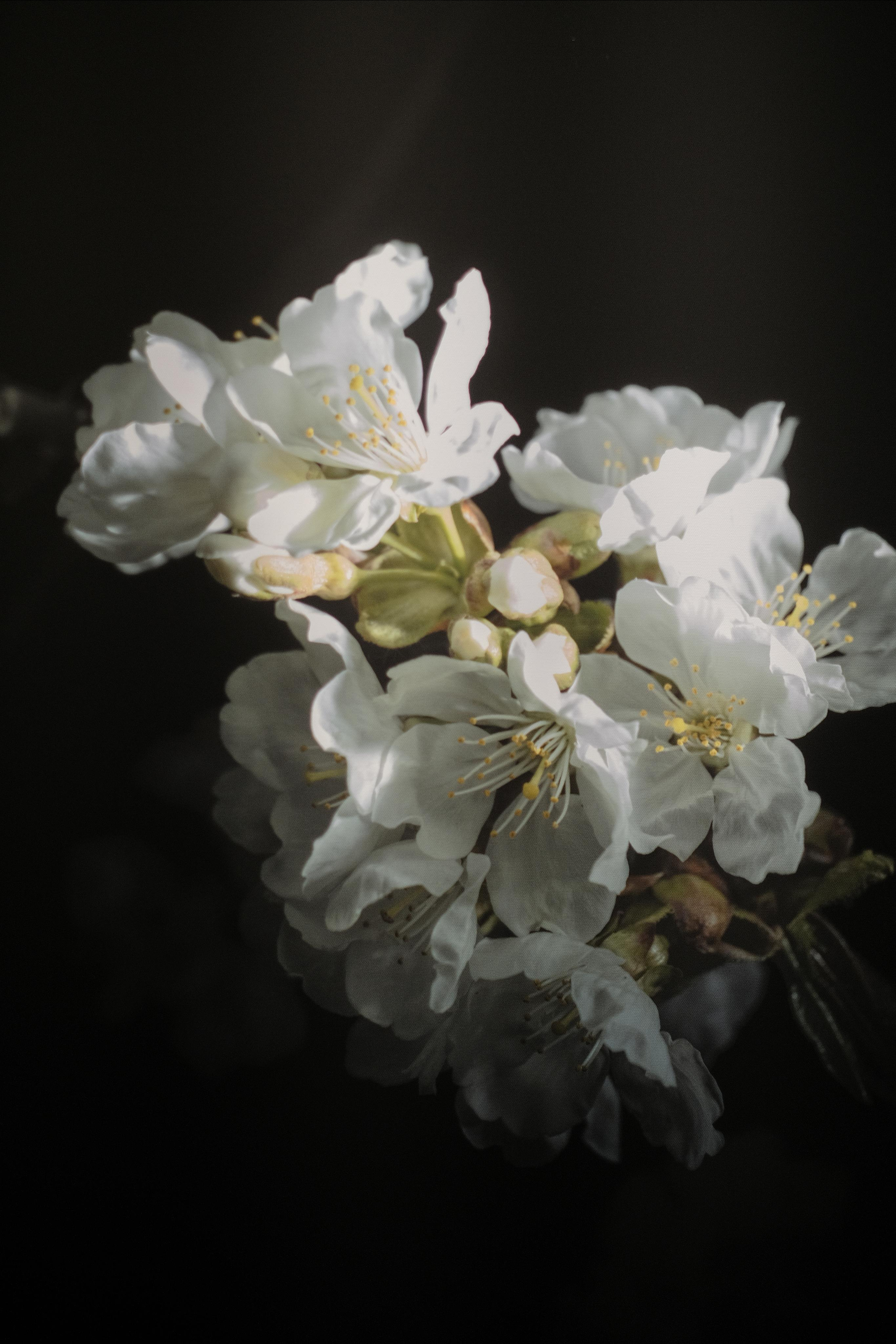 Эрарта. Фотограф Мария Хлебникова Санкт-Петербург Москва