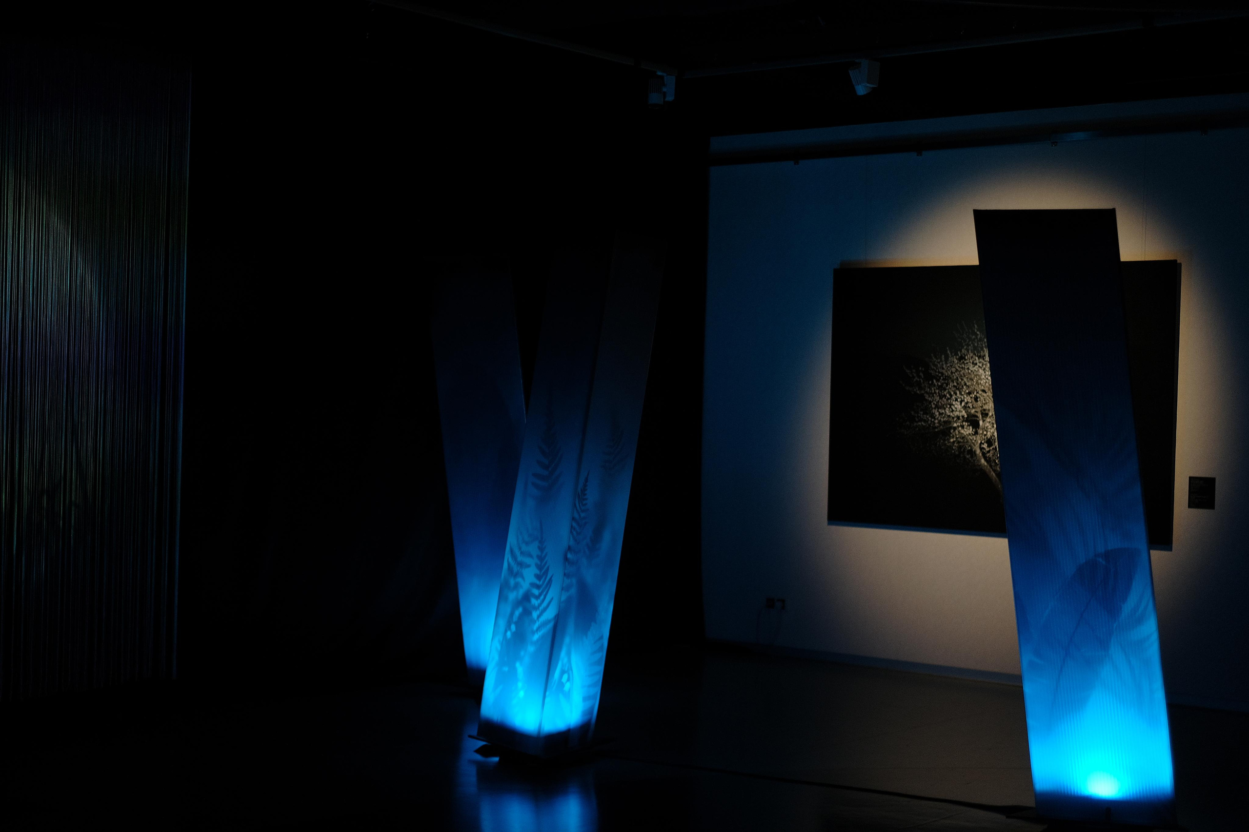 Эрарта. Фотограф Мария Хлебникова Санкт-Петербург Москва