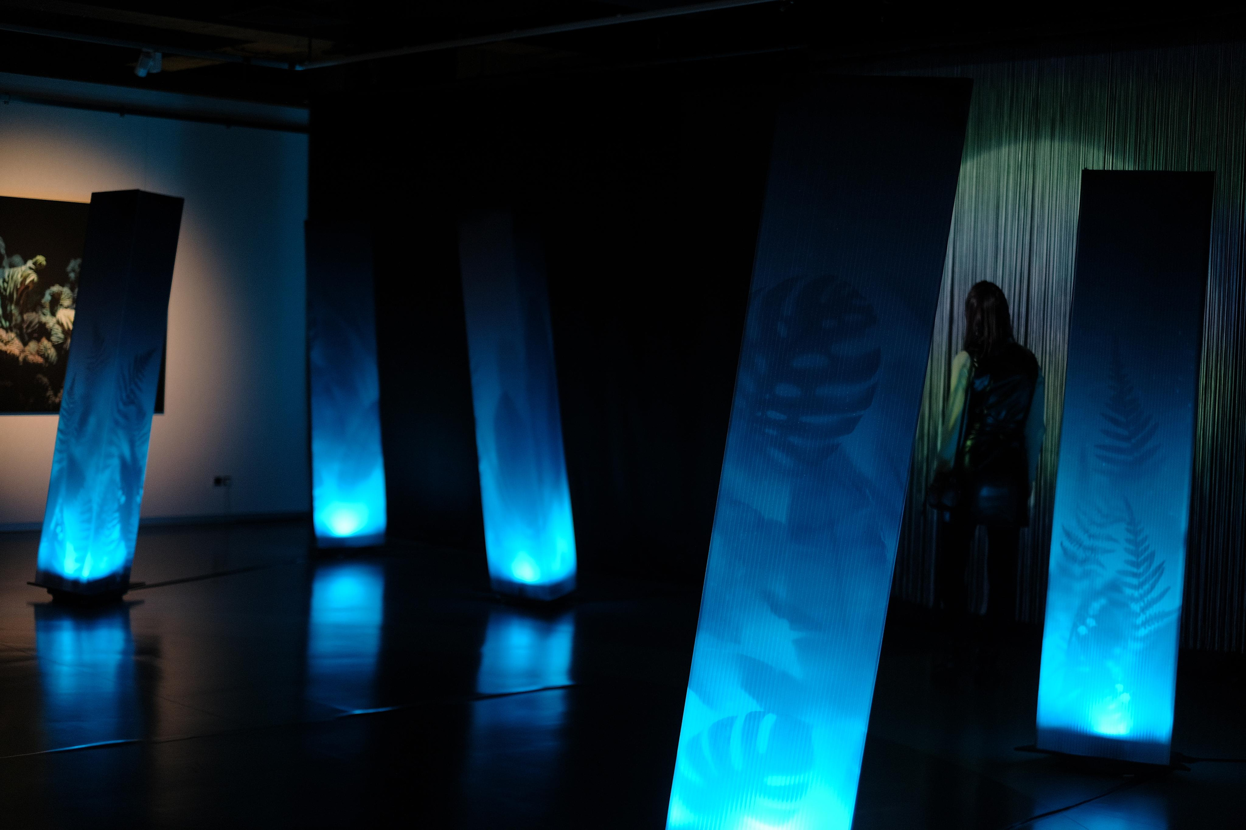 Эрарта. Фотограф Мария Хлебникова Санкт-Петербург Москва