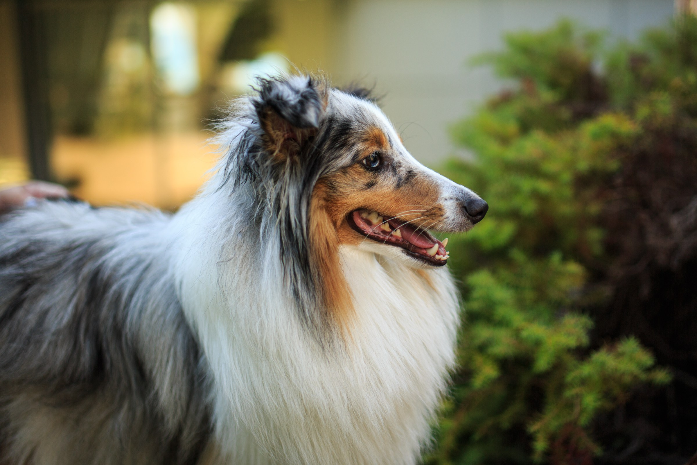 Прогулки. Фотограф-анималист, портретный фотограф в Чебоксарах Мария Садыкова