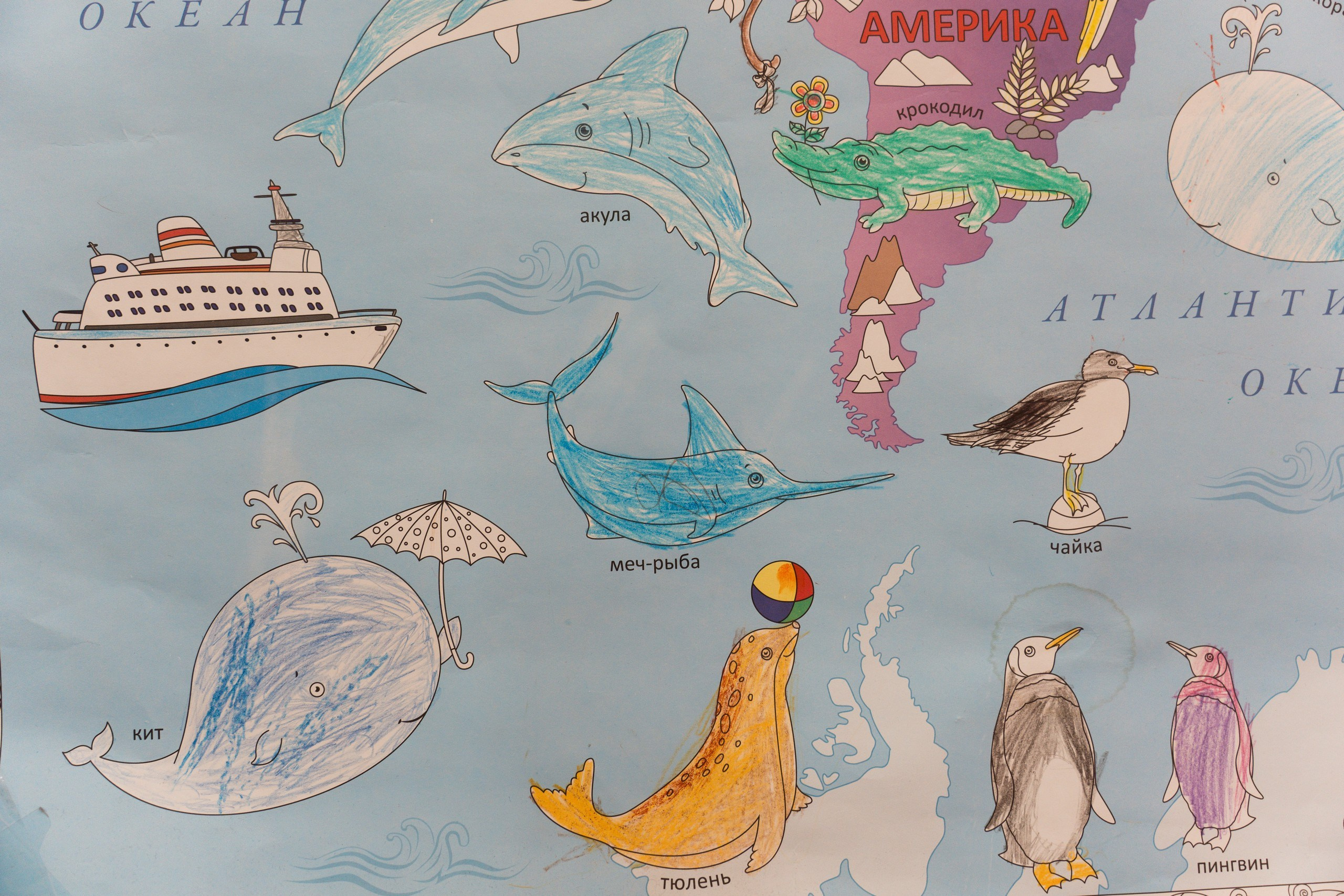 Пятёрка для ребёнка. Репортажная съёмка в Санкт-Петербурге, Константин Петров