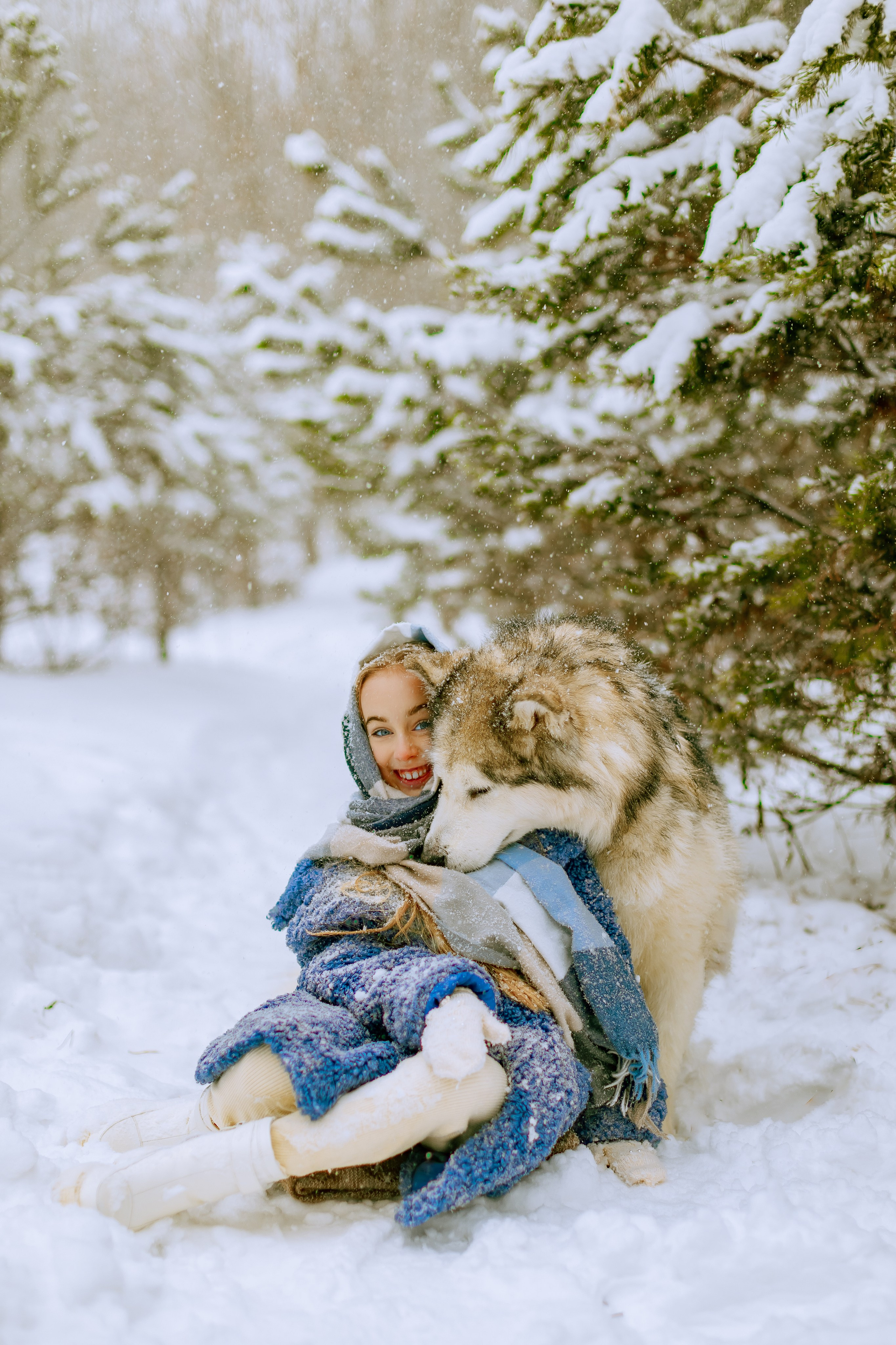 София и аляскинский маламут. Фото и видео Москва, Московский. Свадебный фотограф, видеограф, фотосессии, видеосъемка