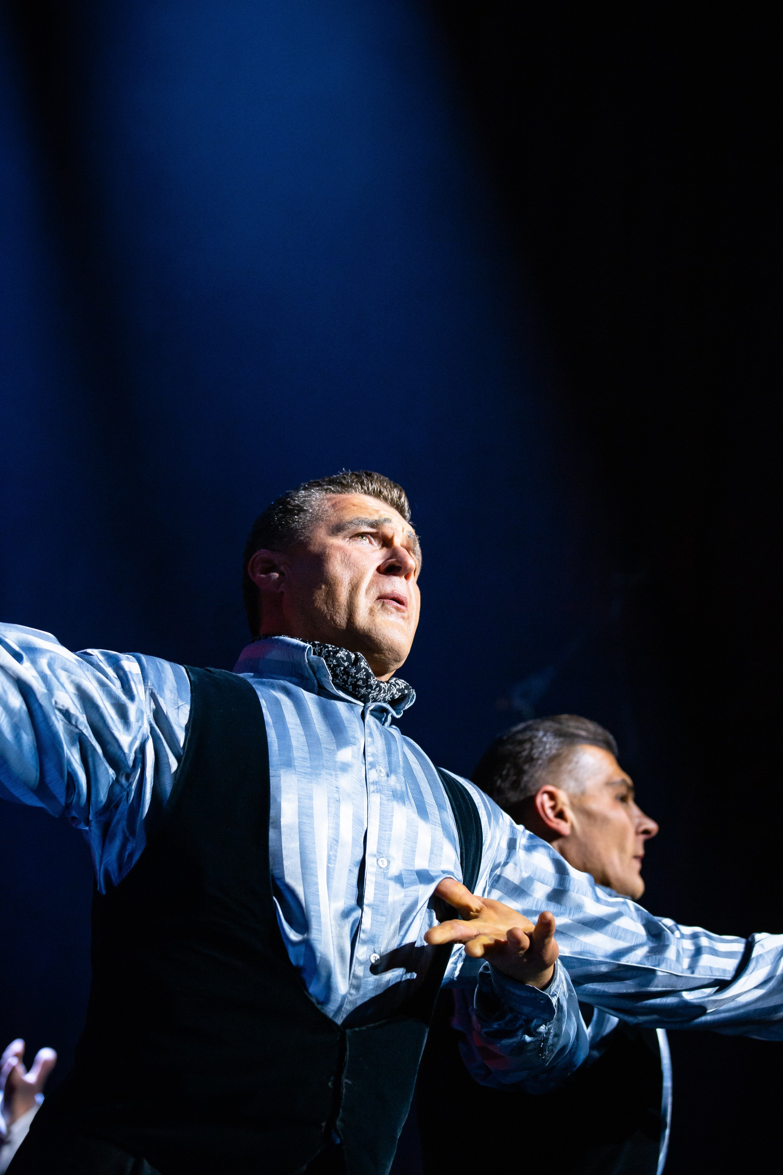 Цирковое шоу. Видеограф Добромыслов