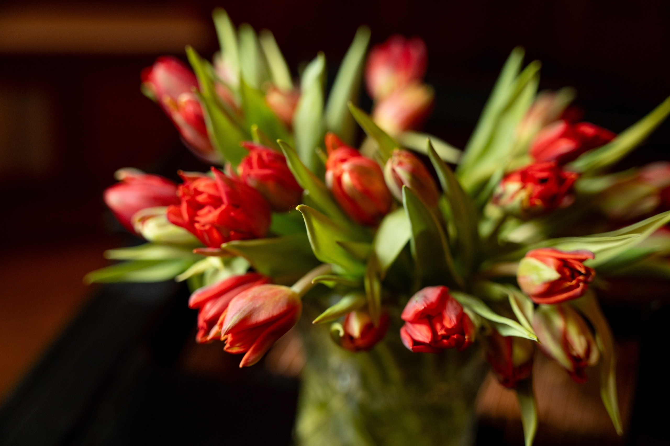 Pre party международного форма. Kirillova Studio — мастерская декора и событий Юли Кирилловой