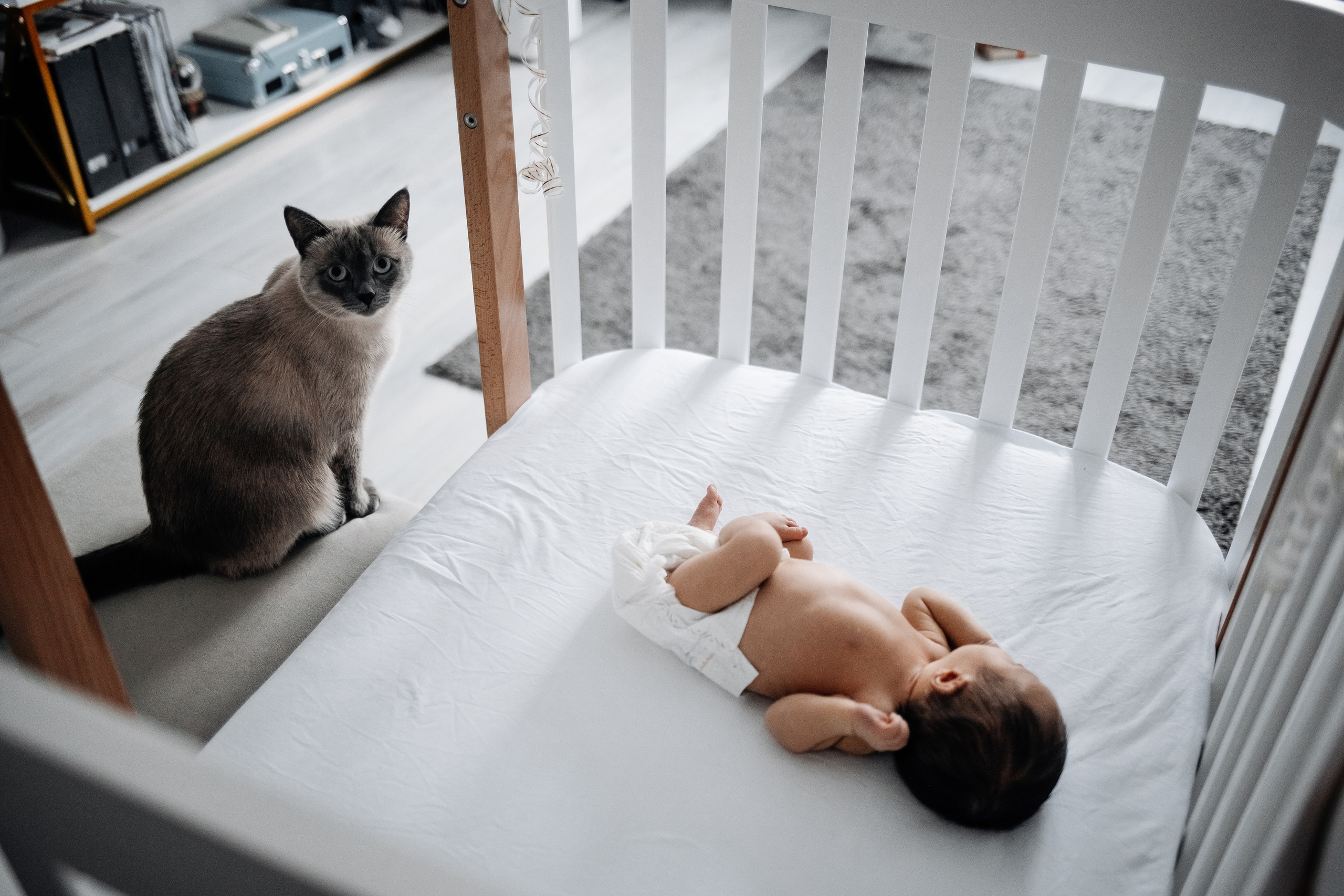 Дамир. Newborn lifestyle фотограф Екатерина Будиновская