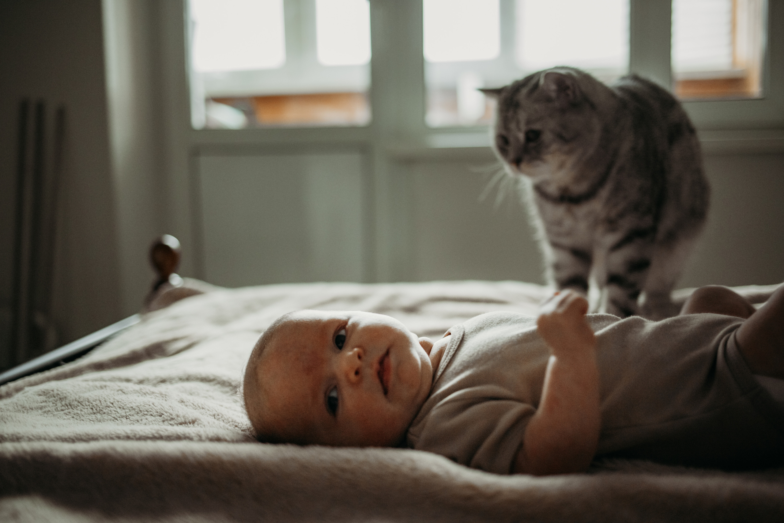 Адель. Newborn lifestyle фотограф Екатерина Будиновская