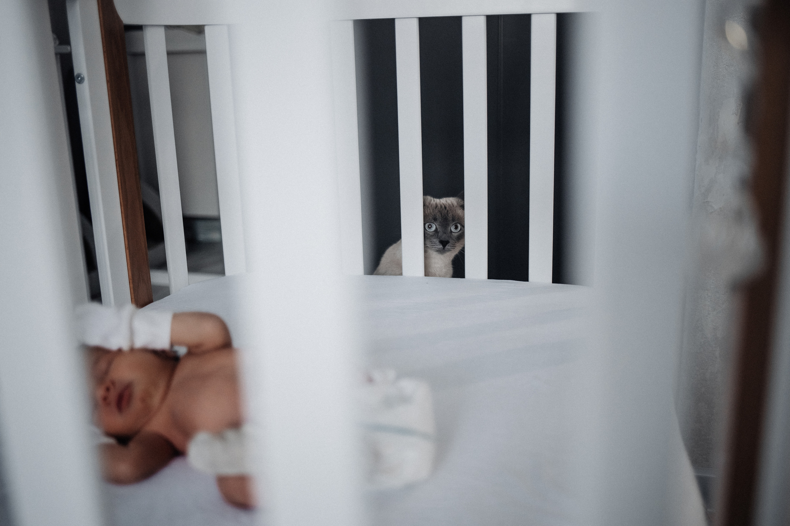 Дамир. Newborn lifestyle фотограф Екатерина Будиновская