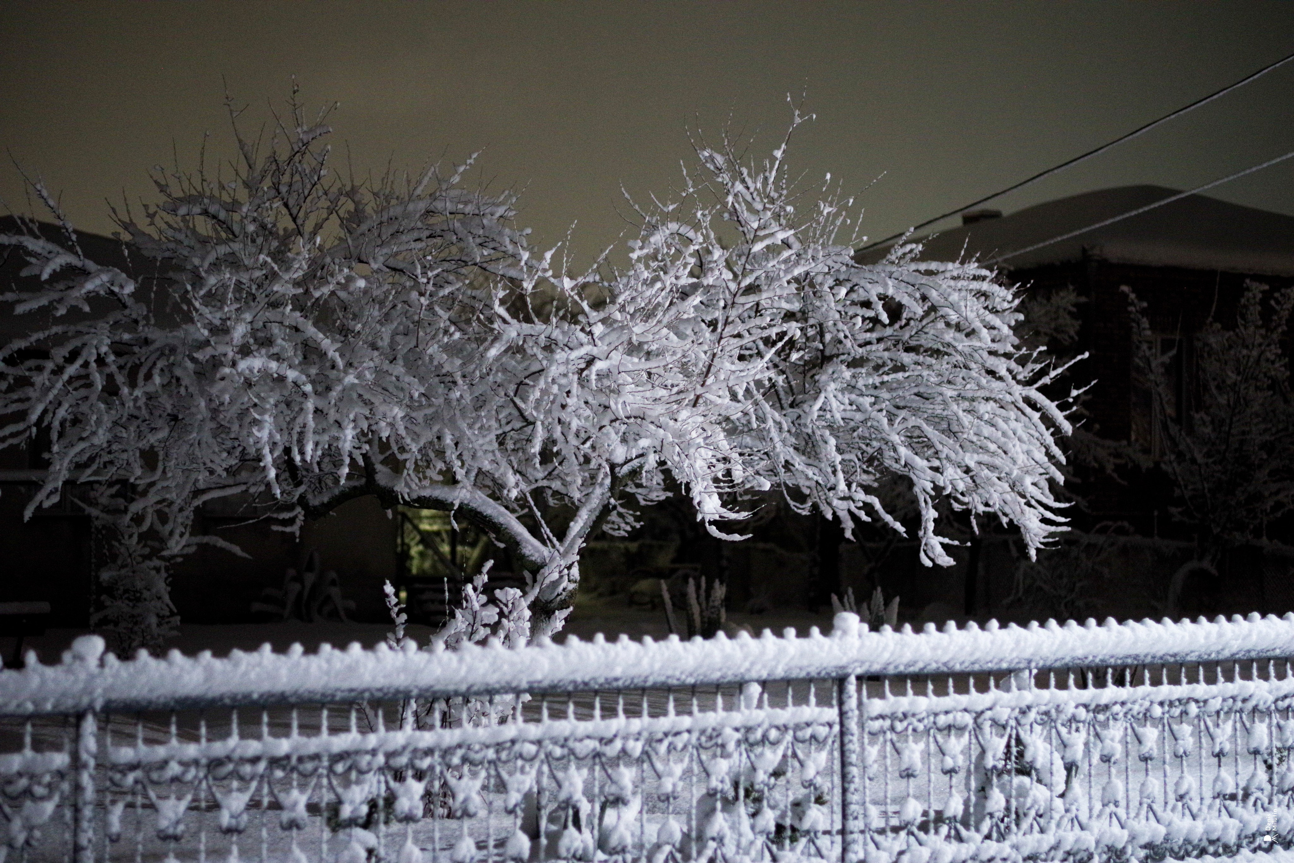 Ночь в Менджи. Портретный фотограф Денис Милютин