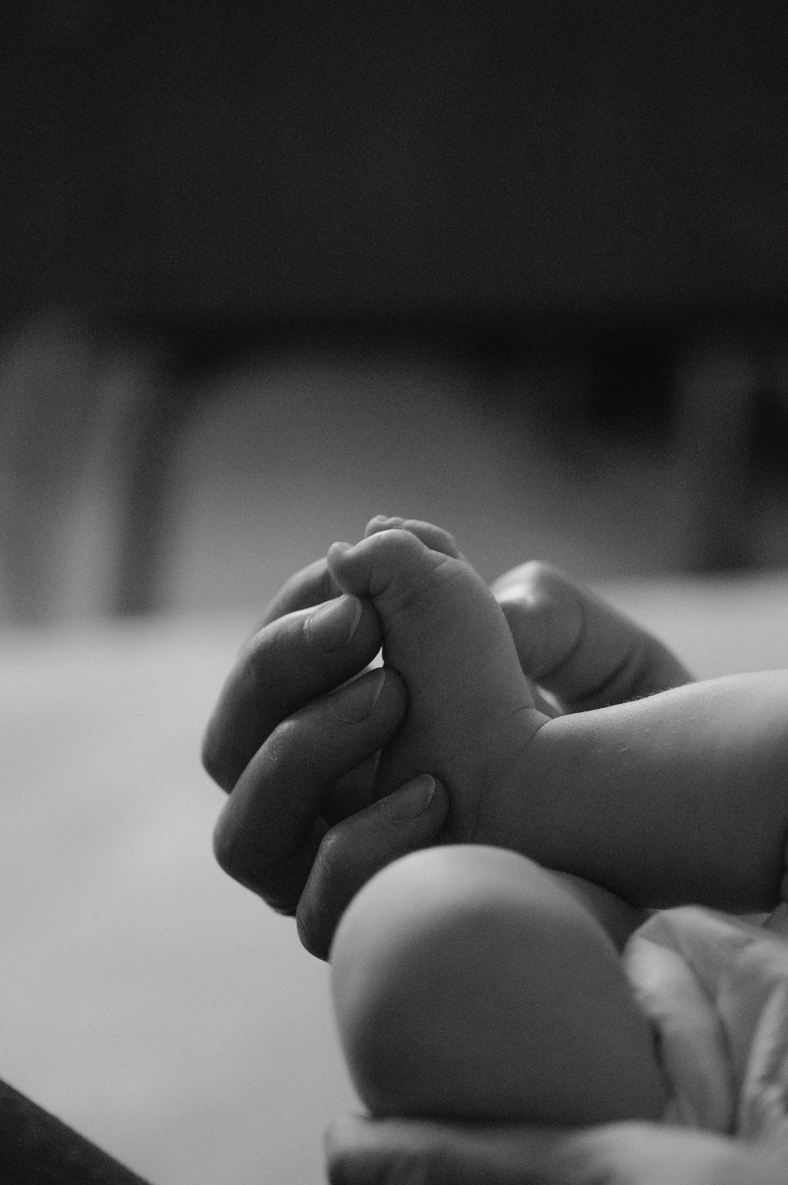 Семейная домашняя фотосессия. Профессиональный фотограф беременности в СПБ. Стильные фотосессии беременности в стиле минимализм и классическая фотография