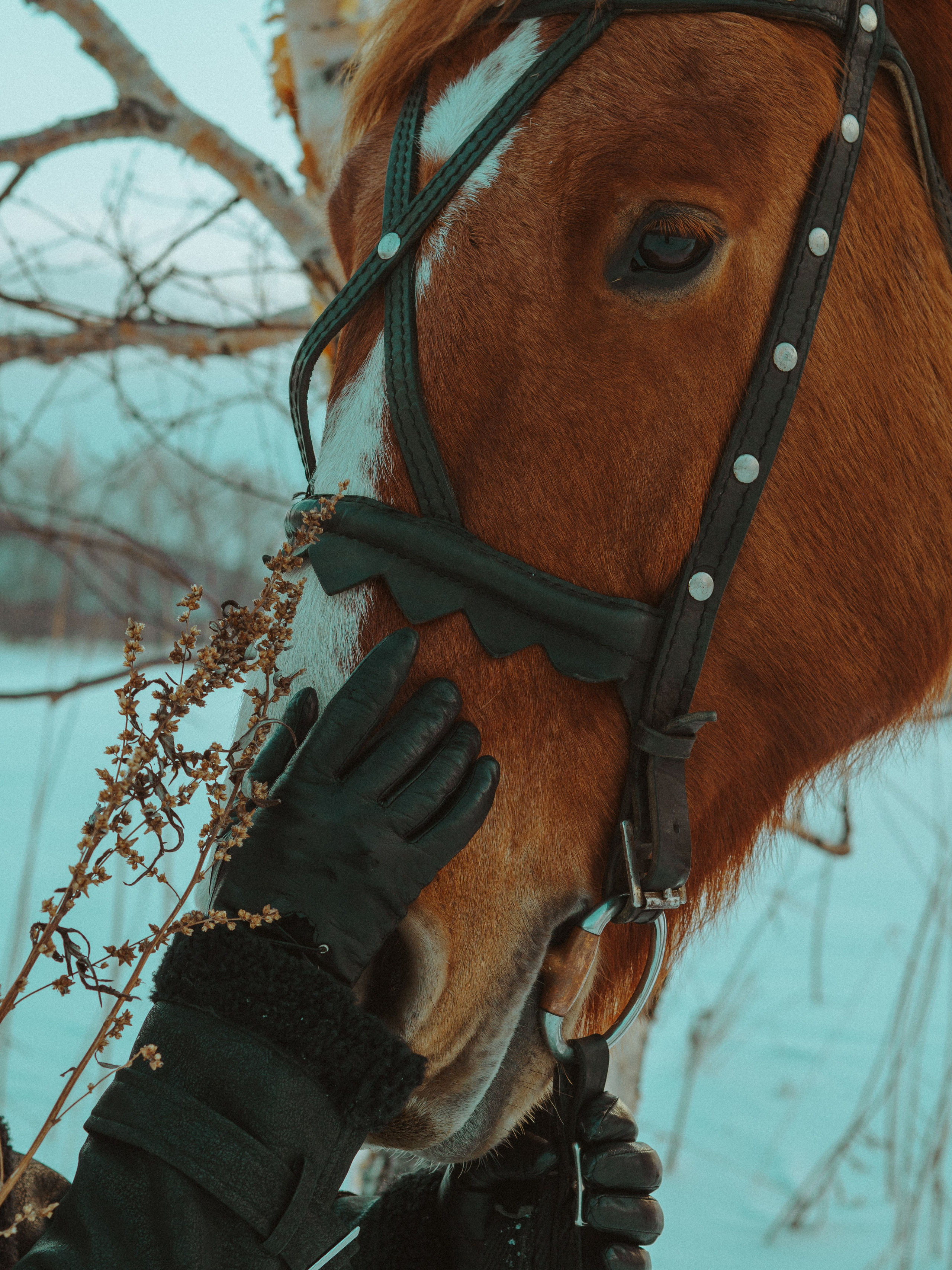 АМИНА И АРГОН. Фотограф в Санкт-Петербурге Эллис