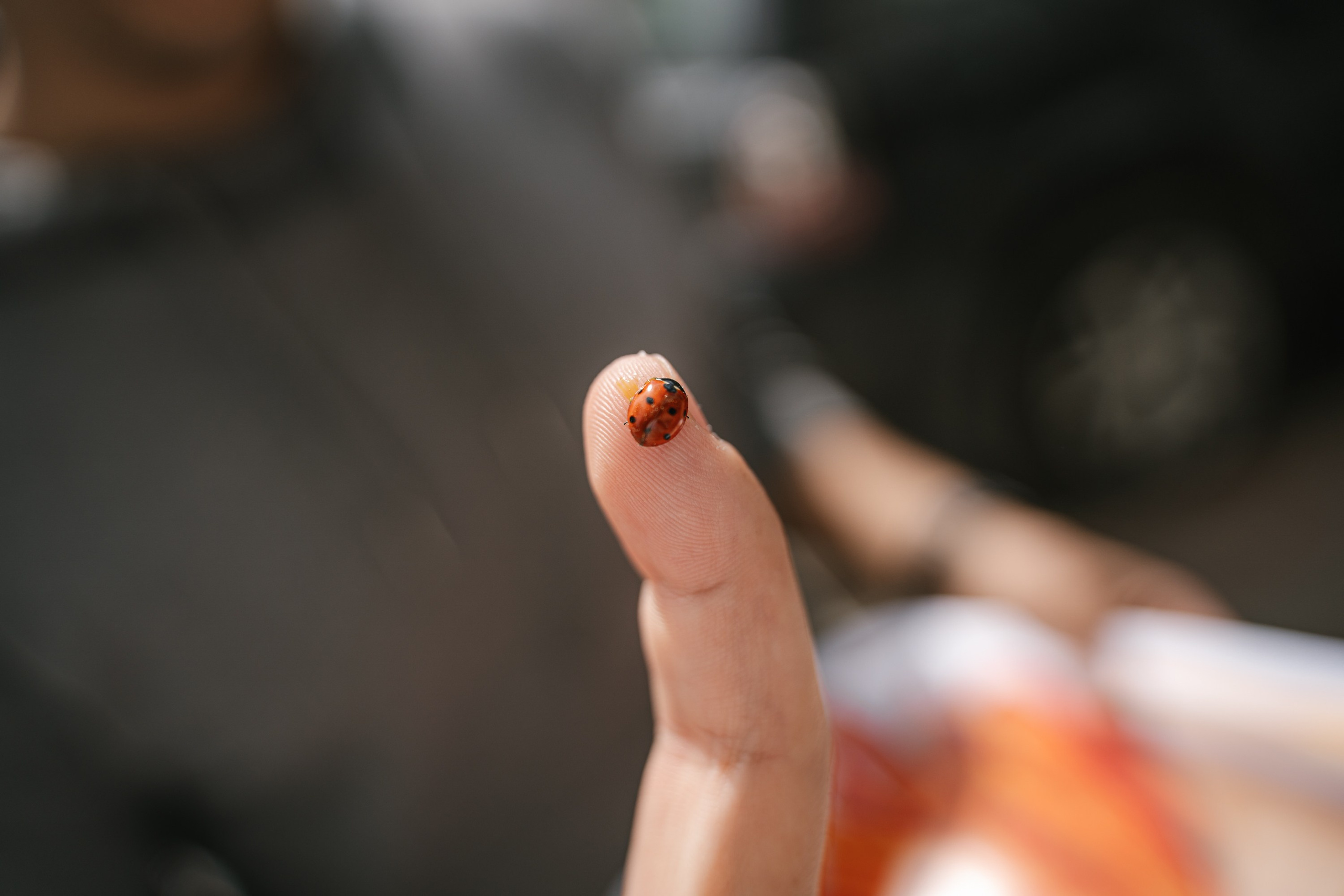 1 июня в ИТИТ. MILATE — выпускные альбомы, фотосессии и видео в Москве