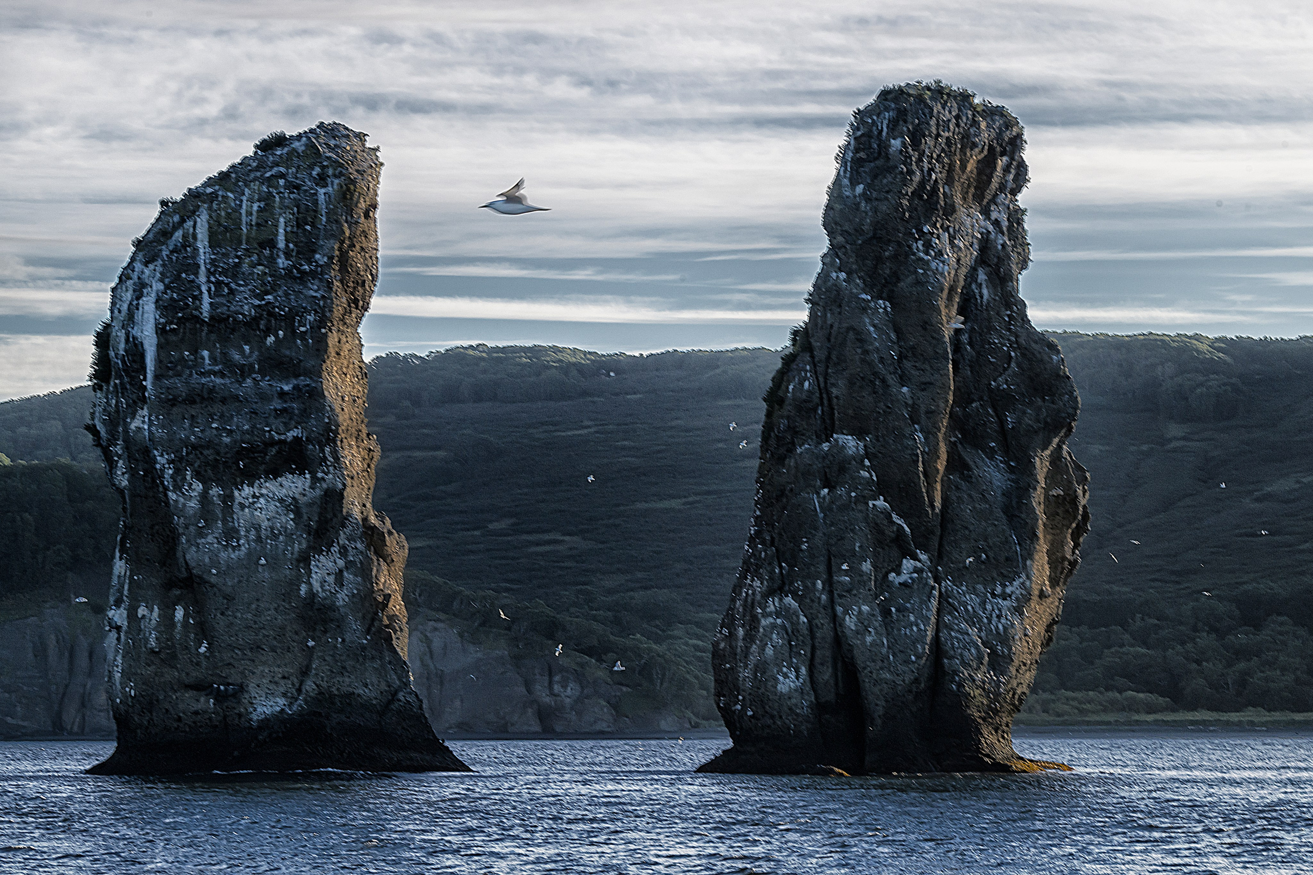 Камчатка. Портретный фотограф в Челябинске Катерина Руди