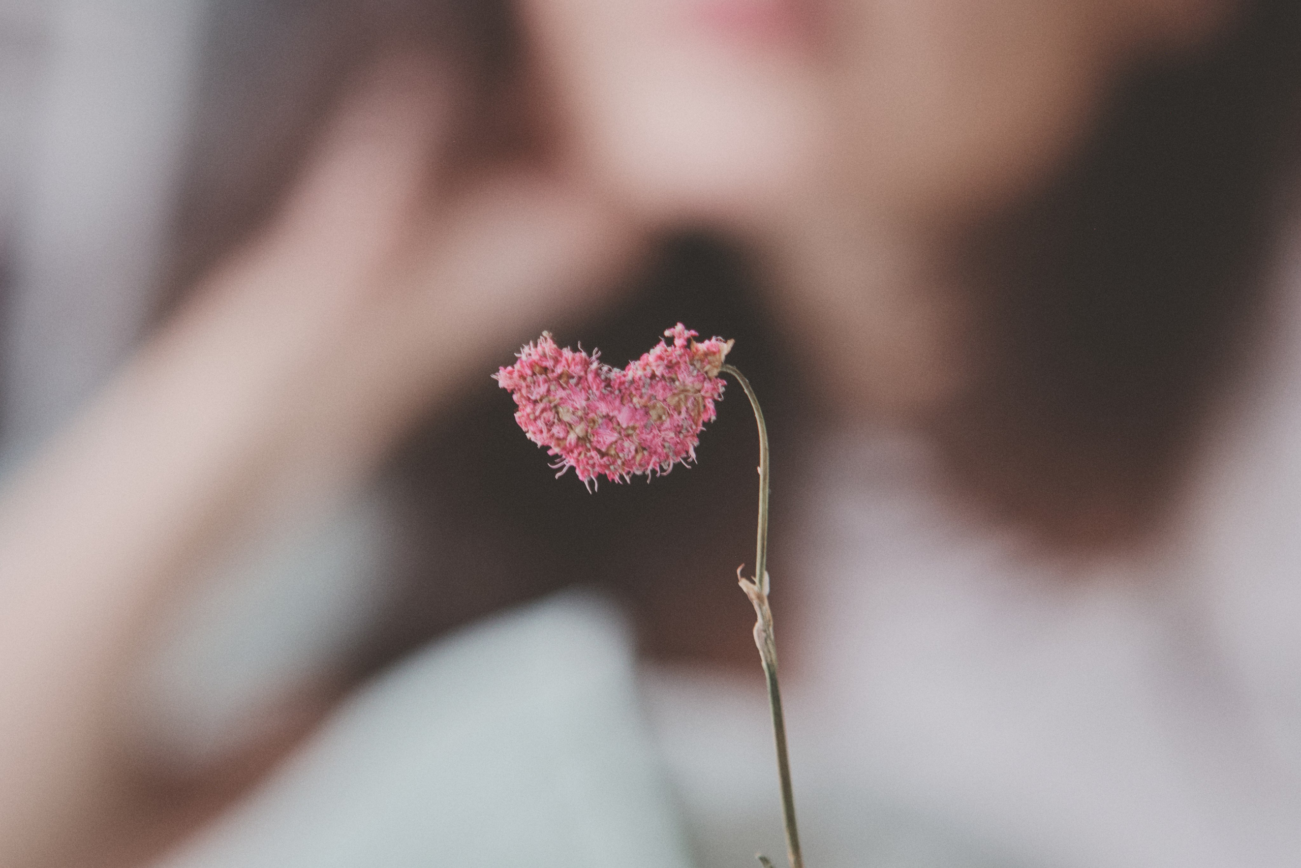 Masha. Portrait, family and pet photographer in Cyprus, Ksenia Bourdelle