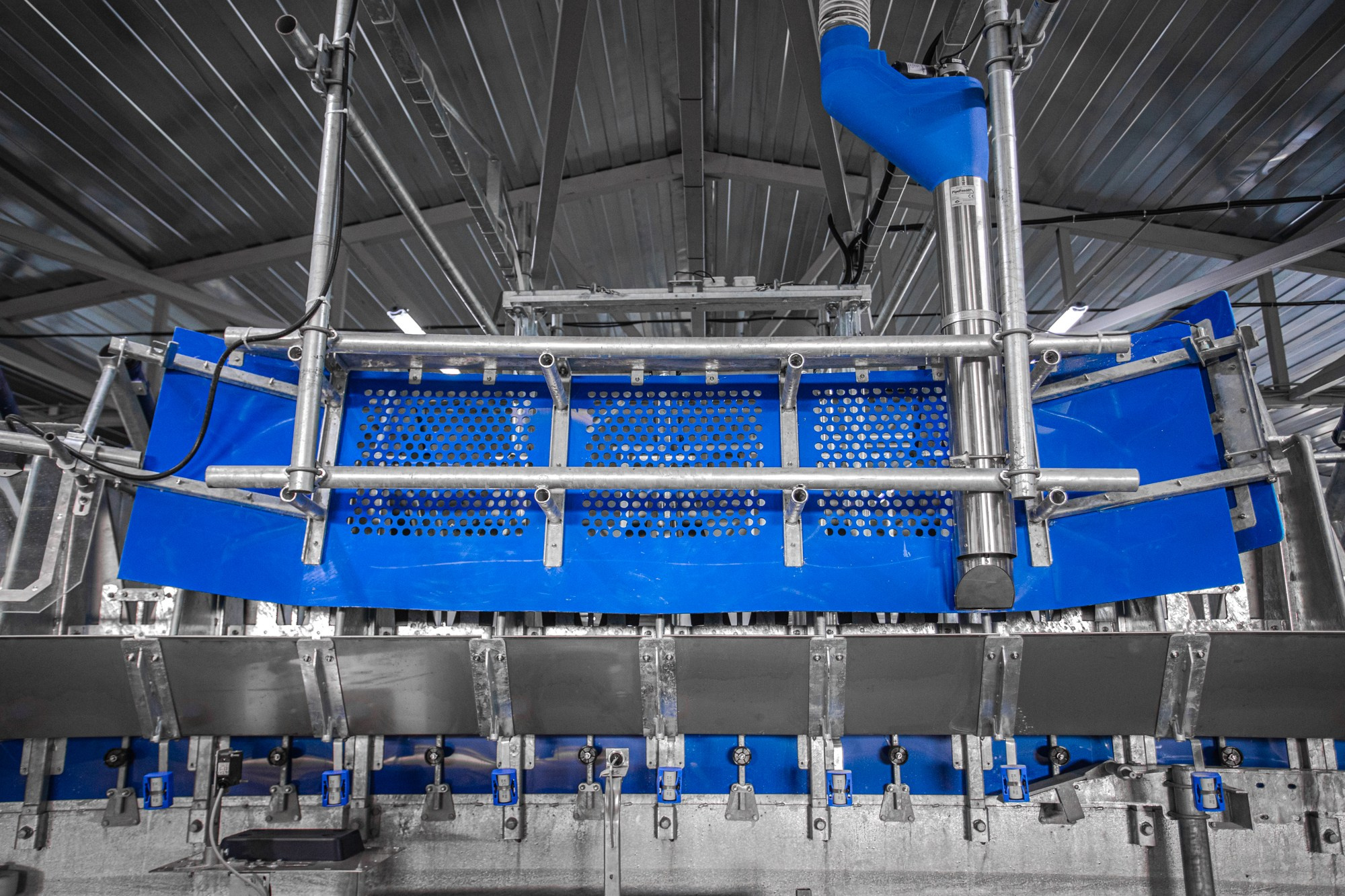 Открытие карусели для дойки скота. Репортажный, промышленный и маркетплейс-фотограф Дмитрий Чернат