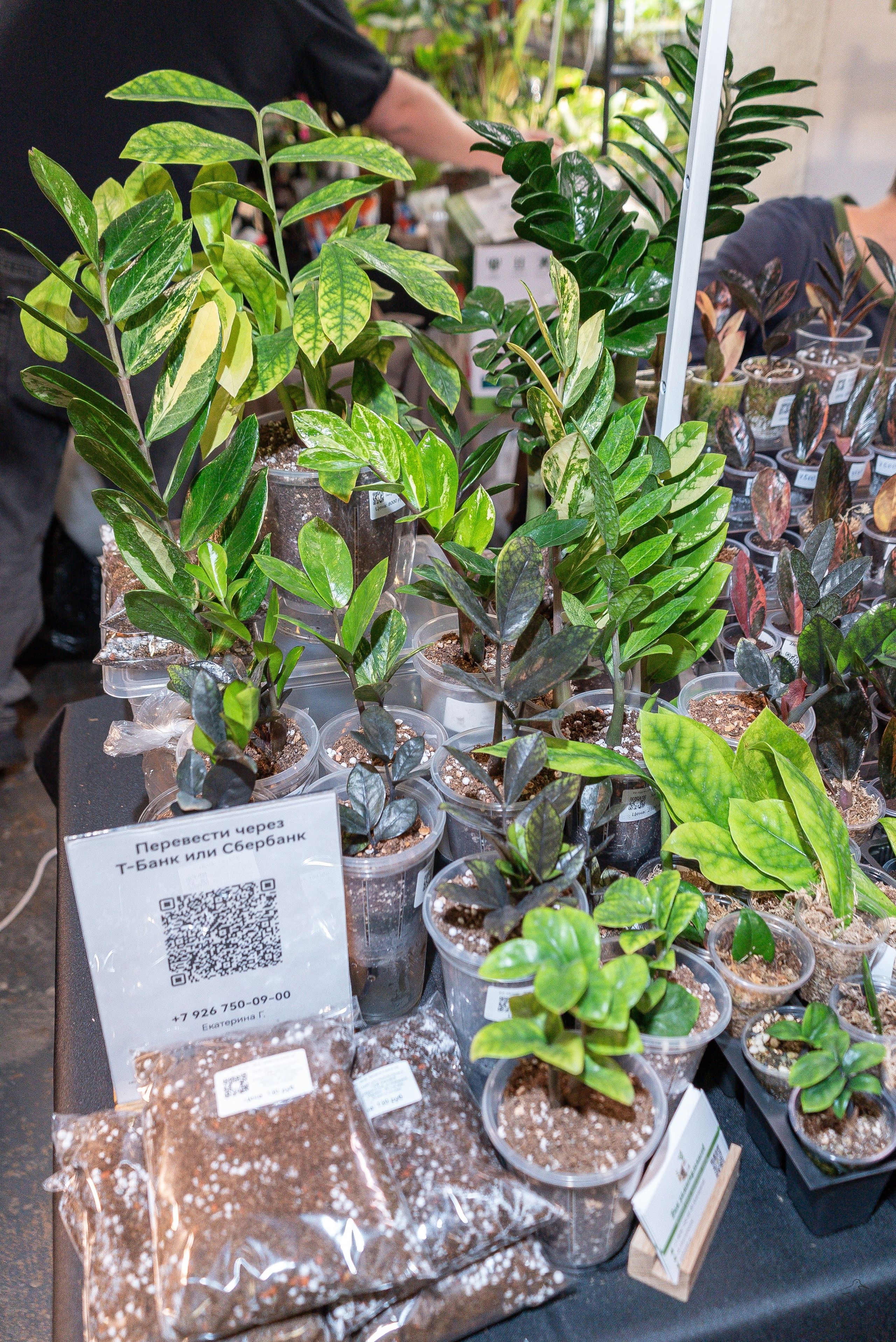 Гроубокс Артплей апрель. Александра Куликова фотограф, Москва