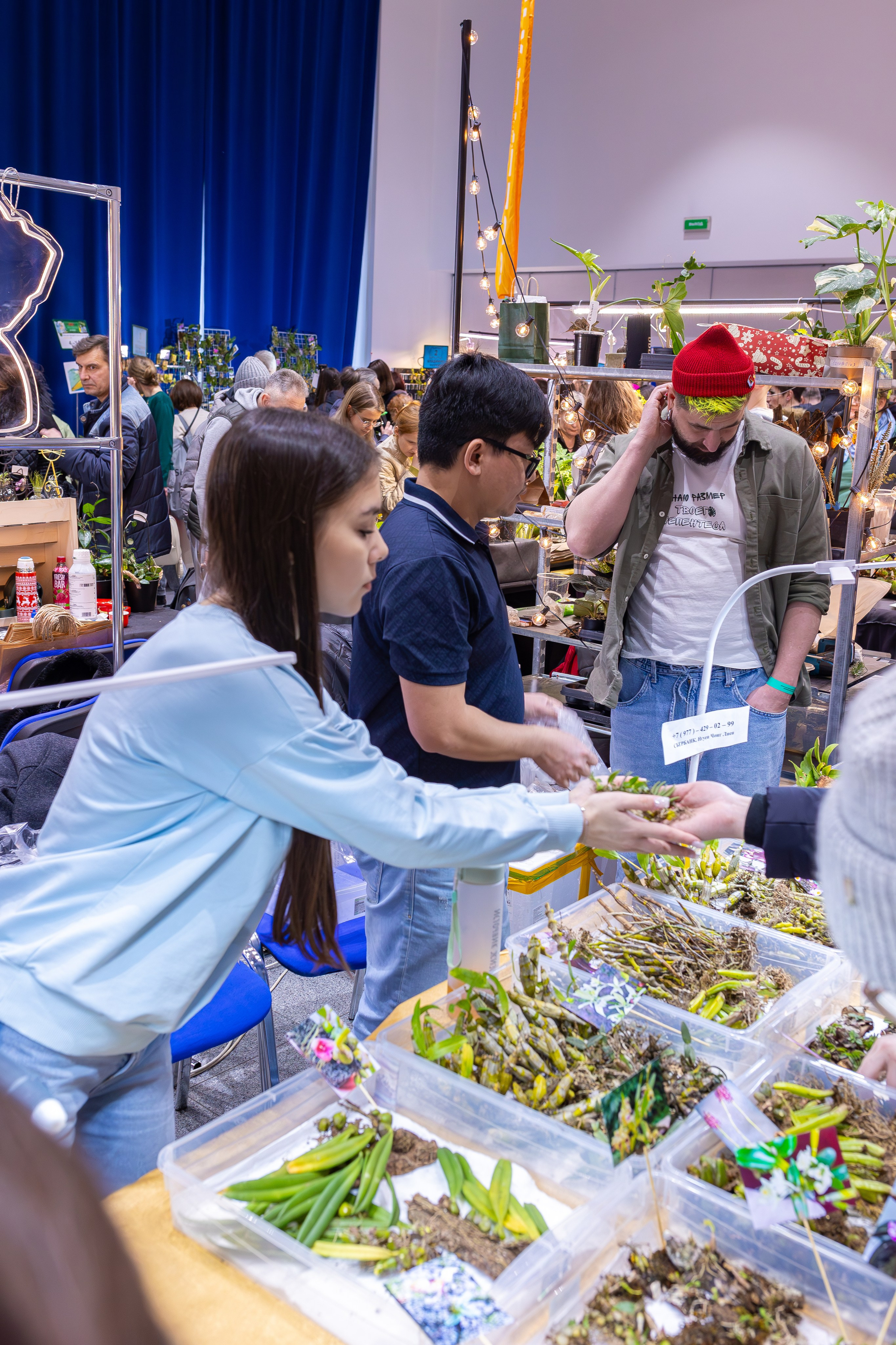 Орхидиум 12.2025. Александра Куликова фотограф, Москва