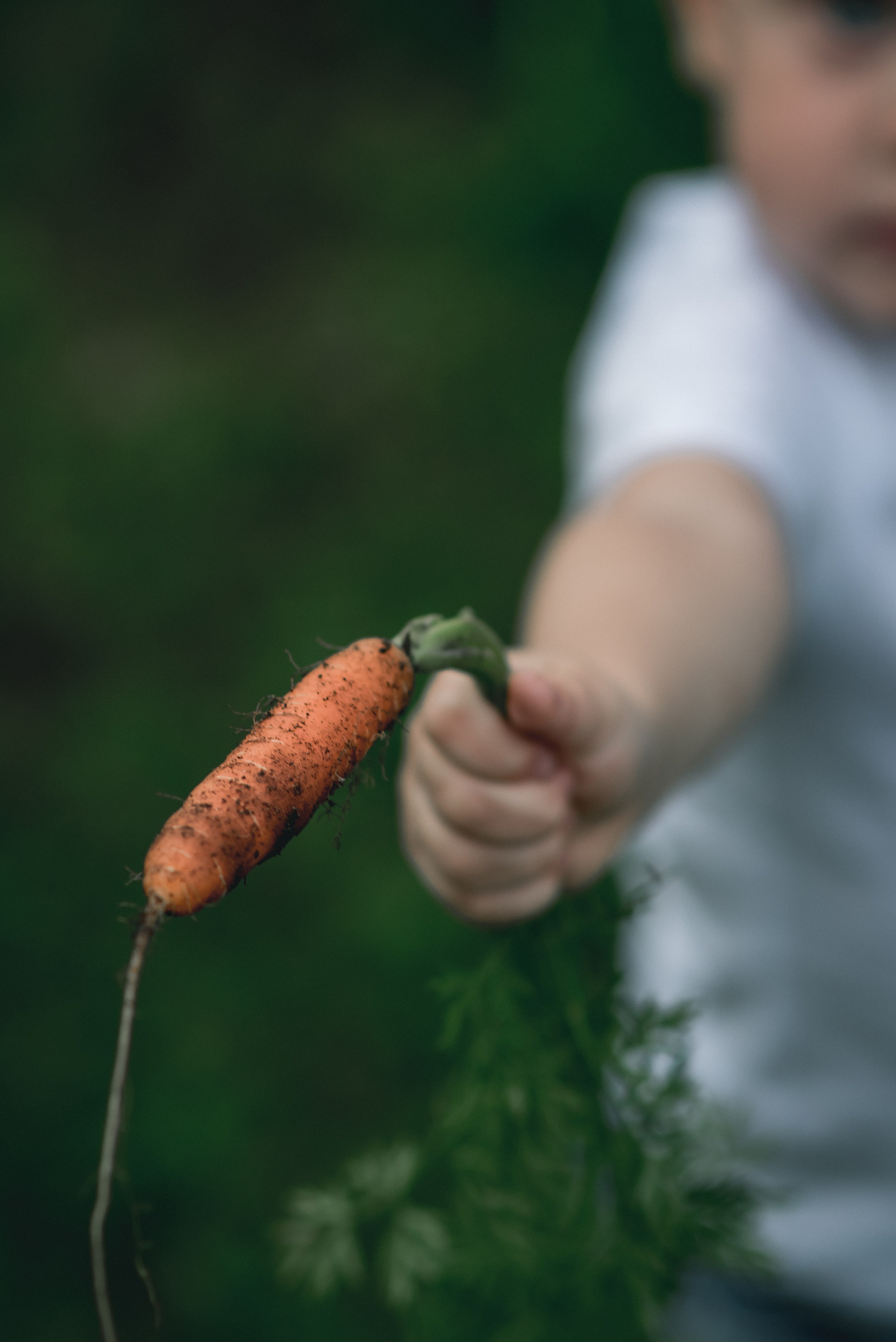 Наш Дом. Фотограф в Ижевске Наталья Медведцева