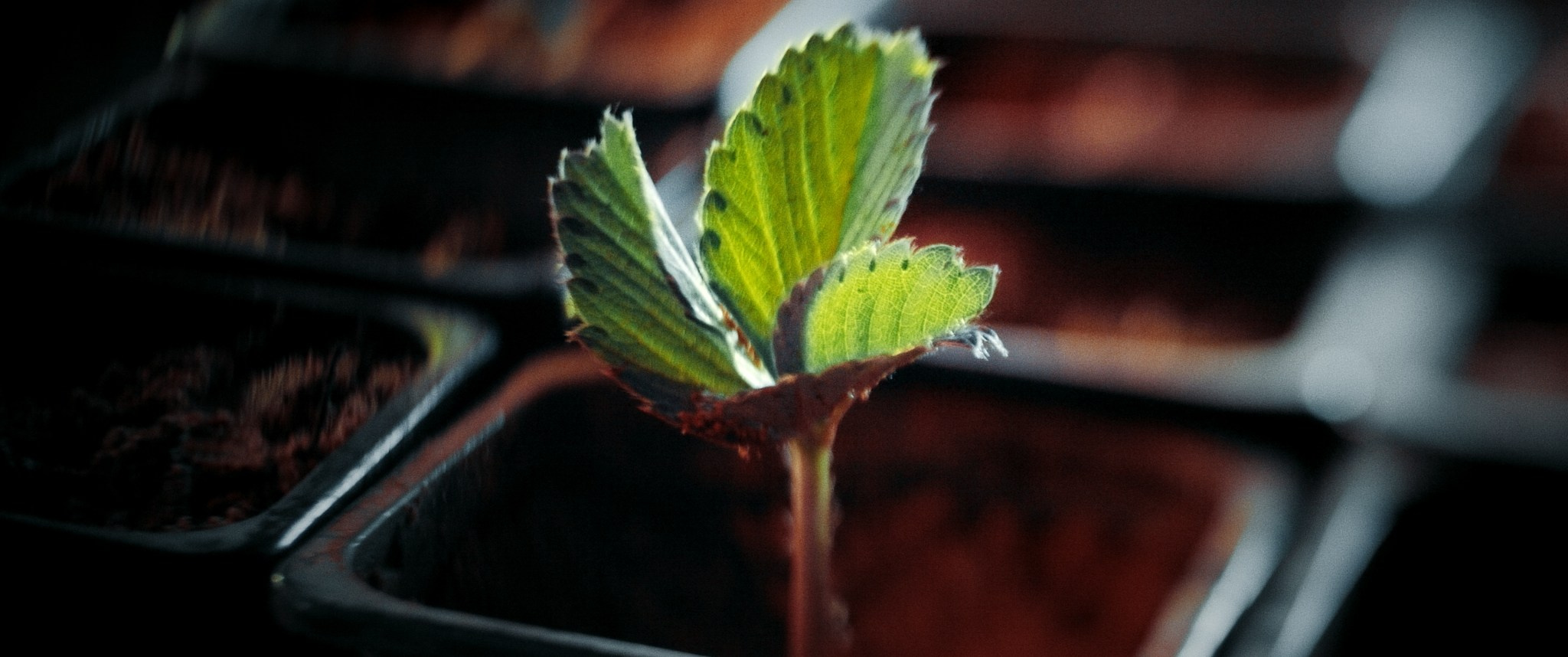 Короткий метр Марс. Цветокоррекция кино, рекламы и клипов. В Алматы и по всему миру. Юрий Косяков