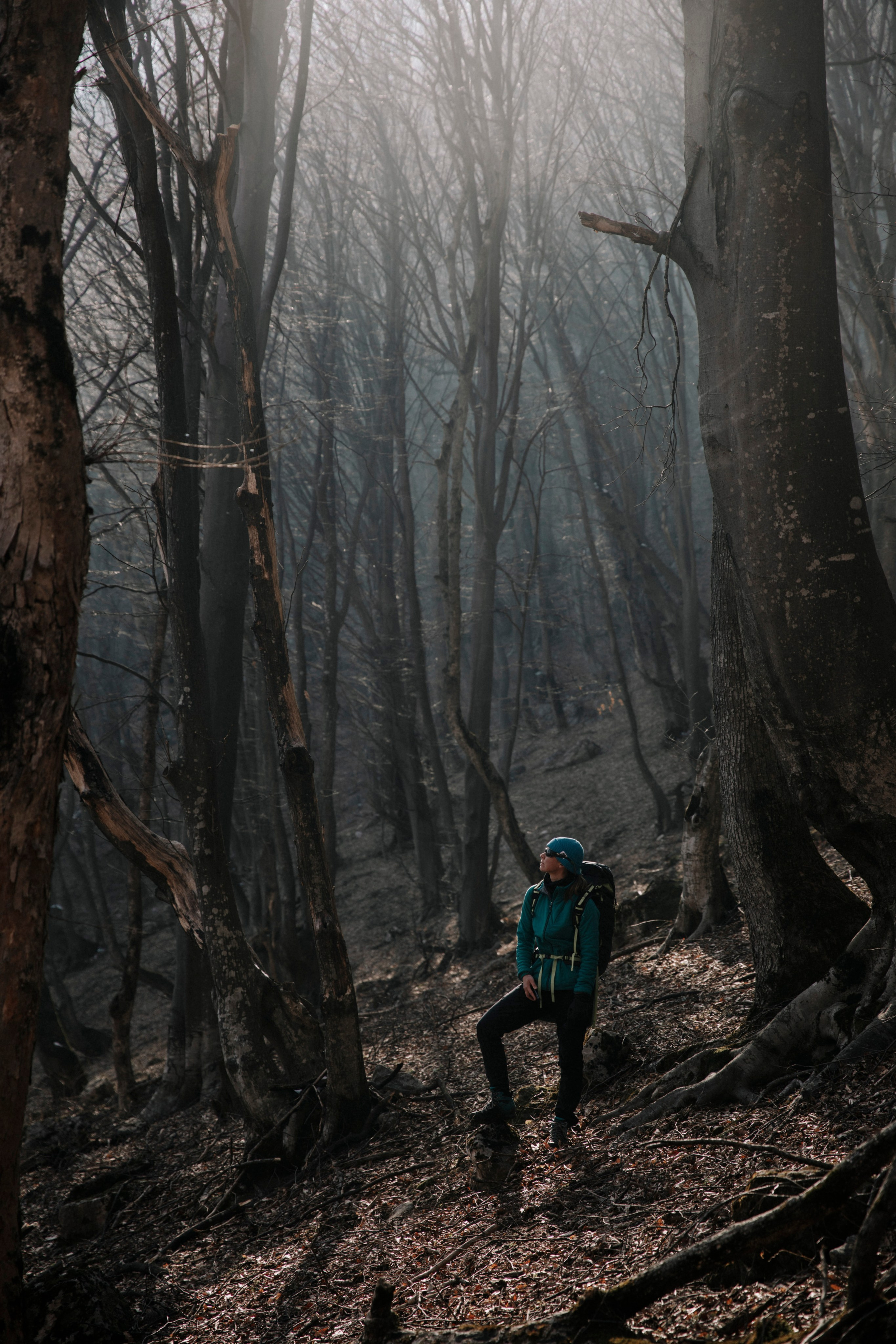Треккинг / восхождения / активности