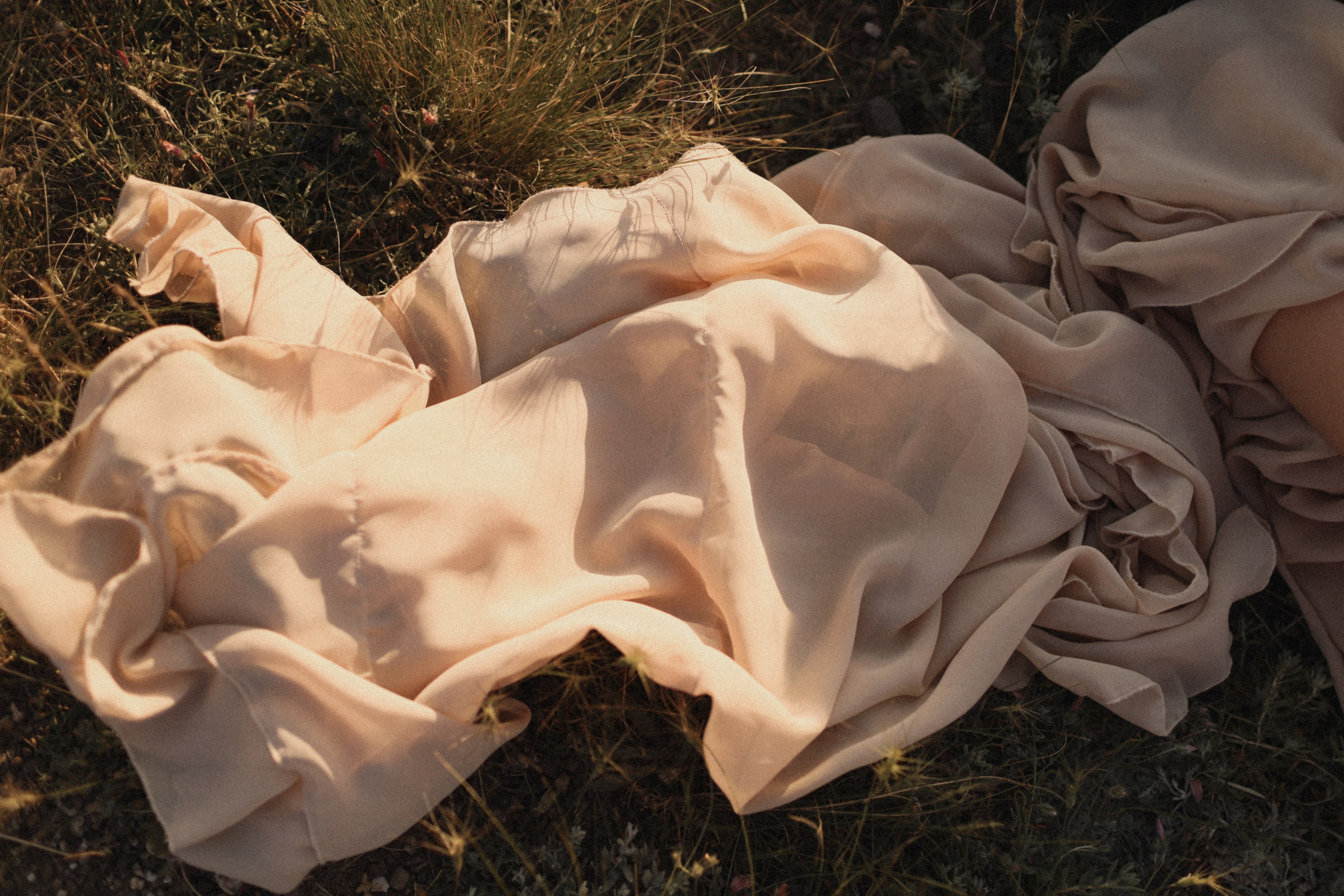 Луч солнца золотого. Фотограф Воронцова Виталия Крым Севастополь