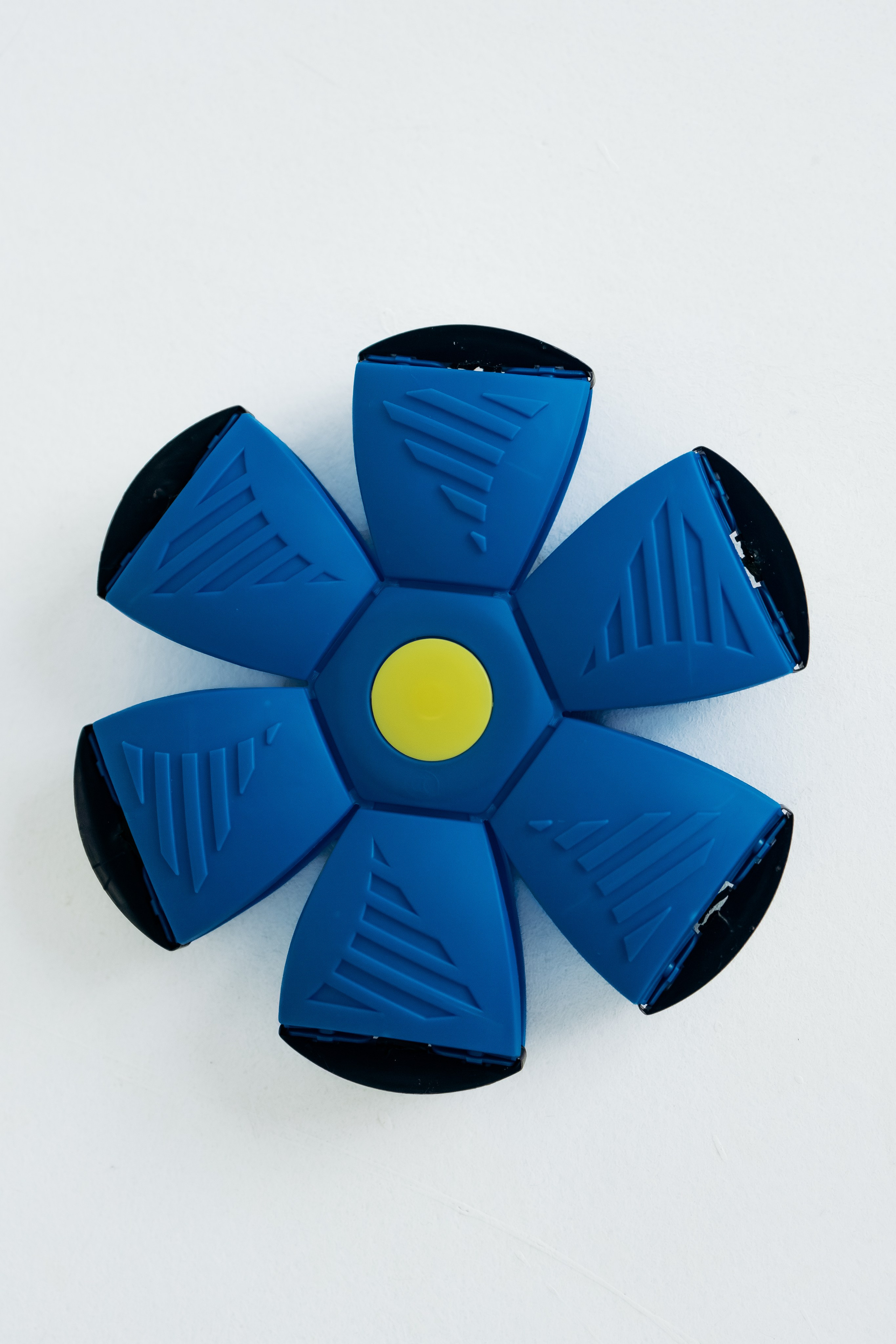 Мячи-попрыгуны. Фотораф — анималист Мария Шистка