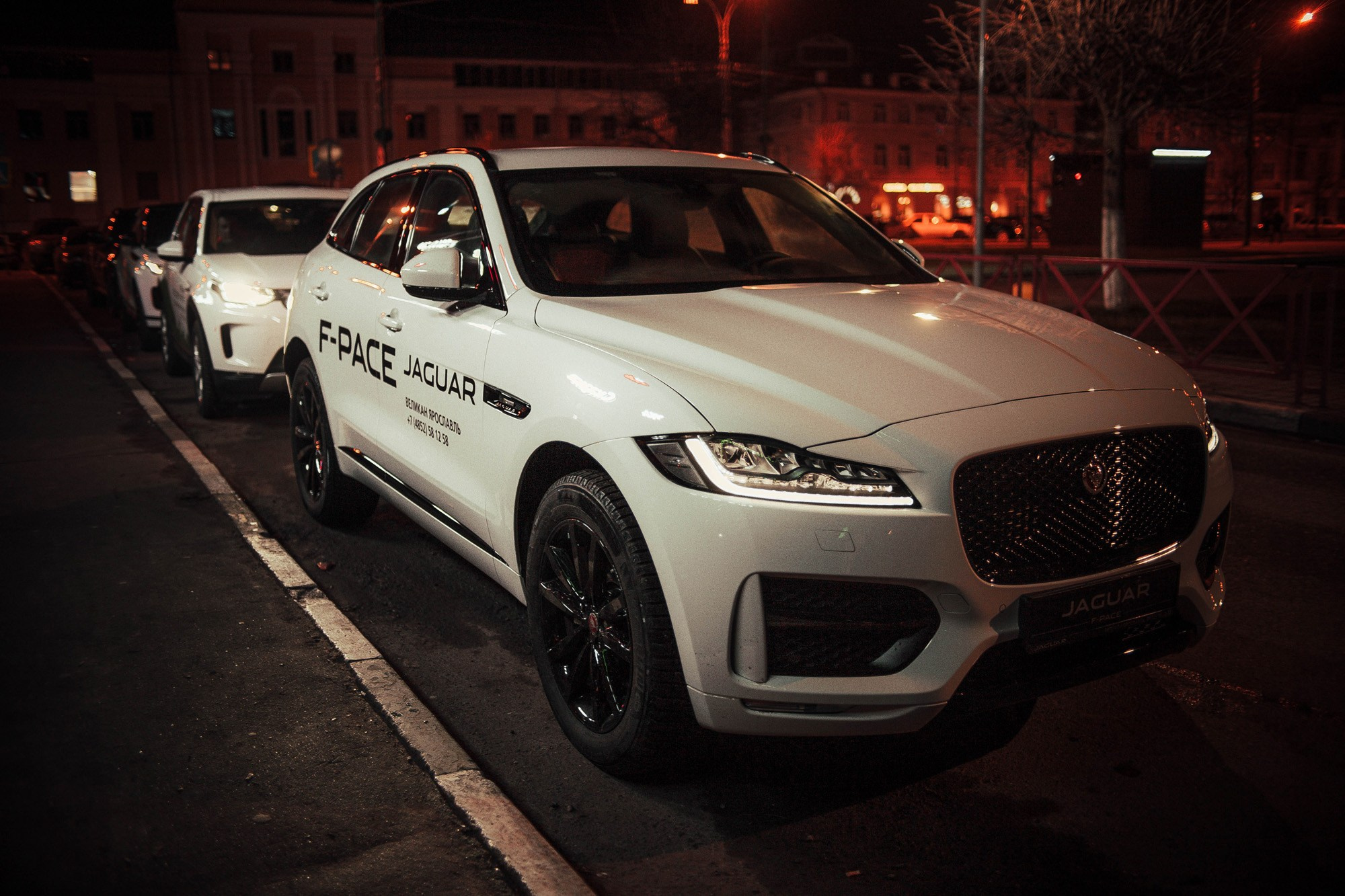 Автерпати «Собака ру». Ваш репортажный фотограф Артемий Антонов