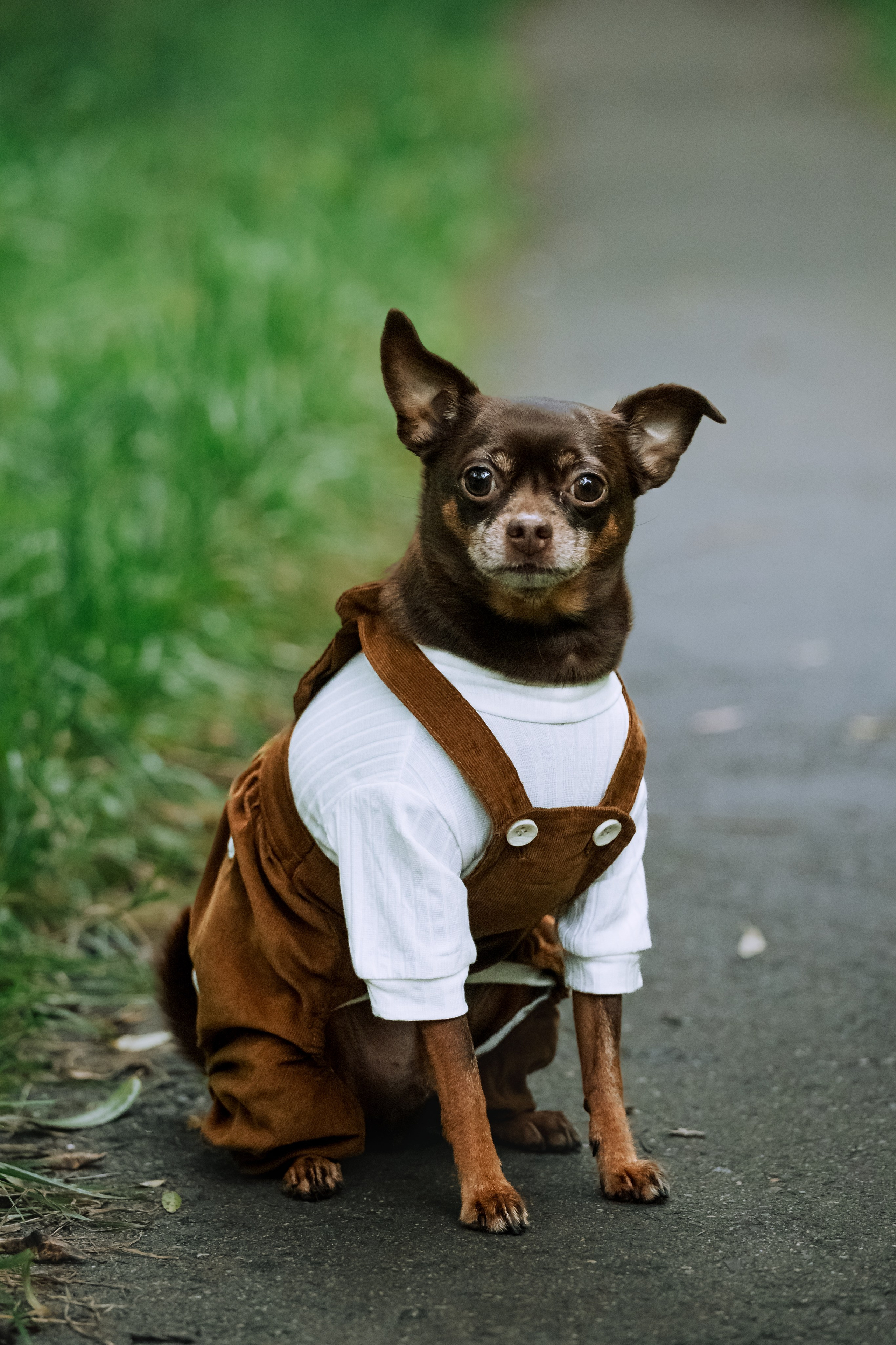 Юля и Леонид. Фотограф-анималист Татьяна Степанова