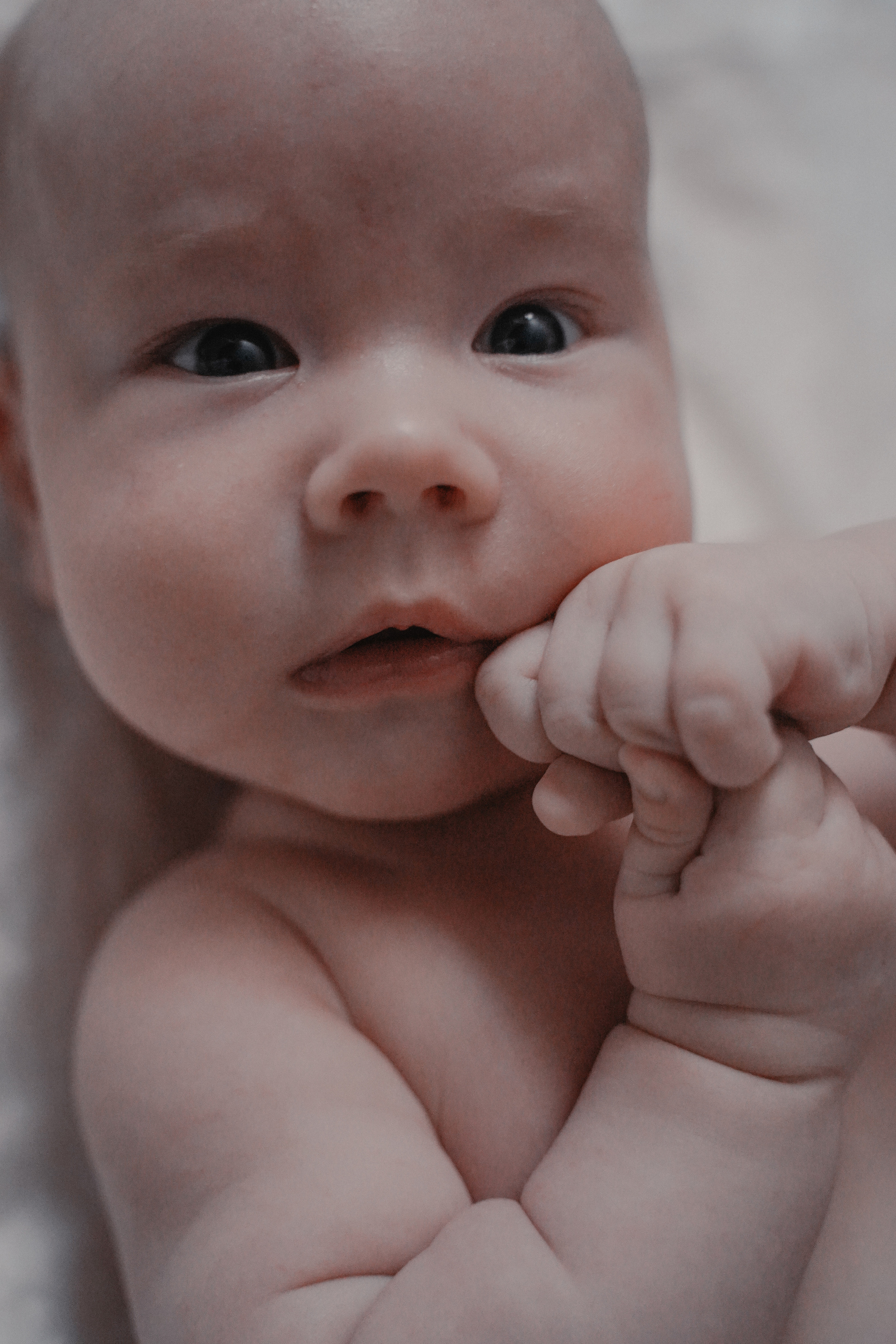 Домашняя фотосессия. Семейный и женский фотограф в Краснодаре Анастасия Приймак