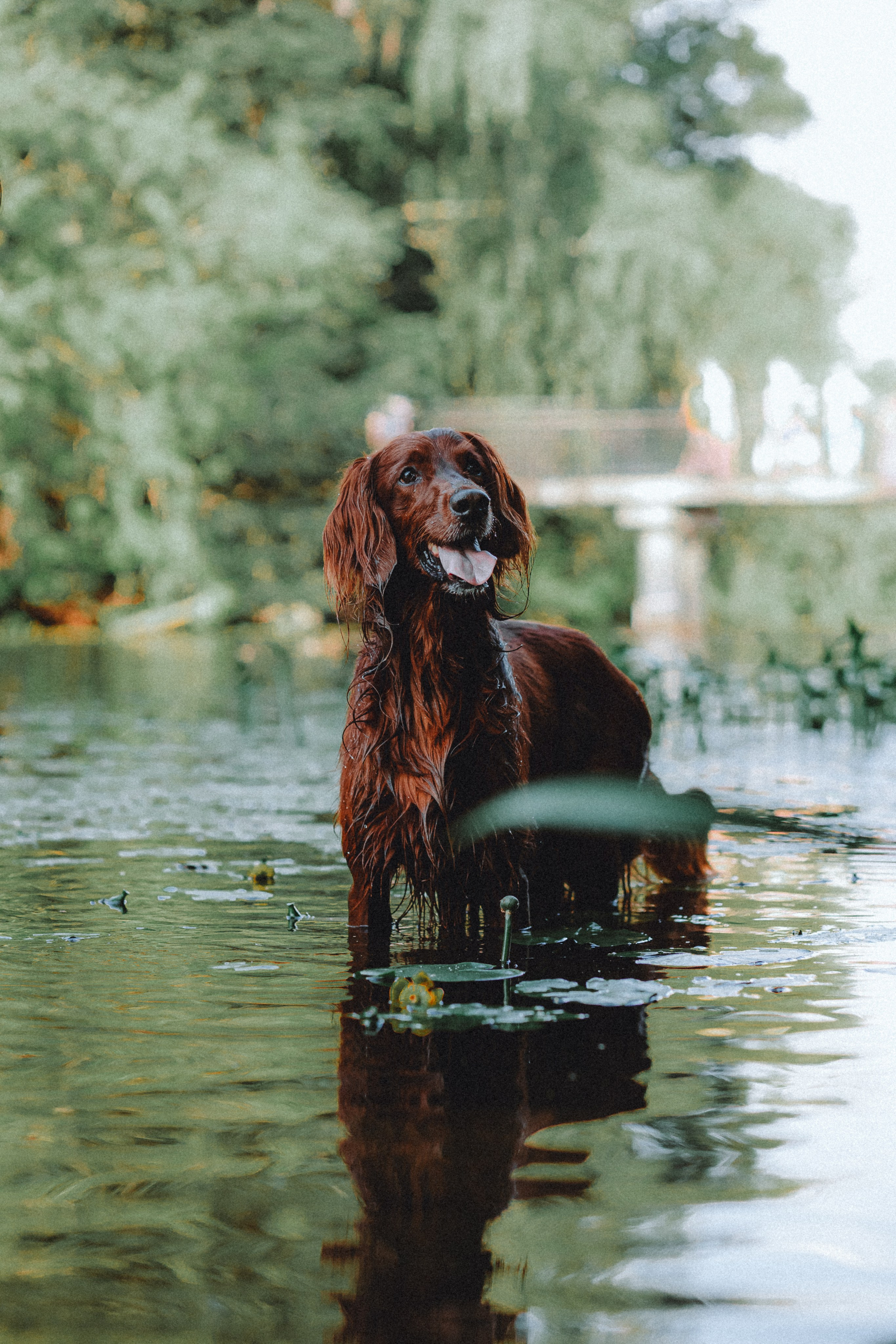 Маша и Джерри