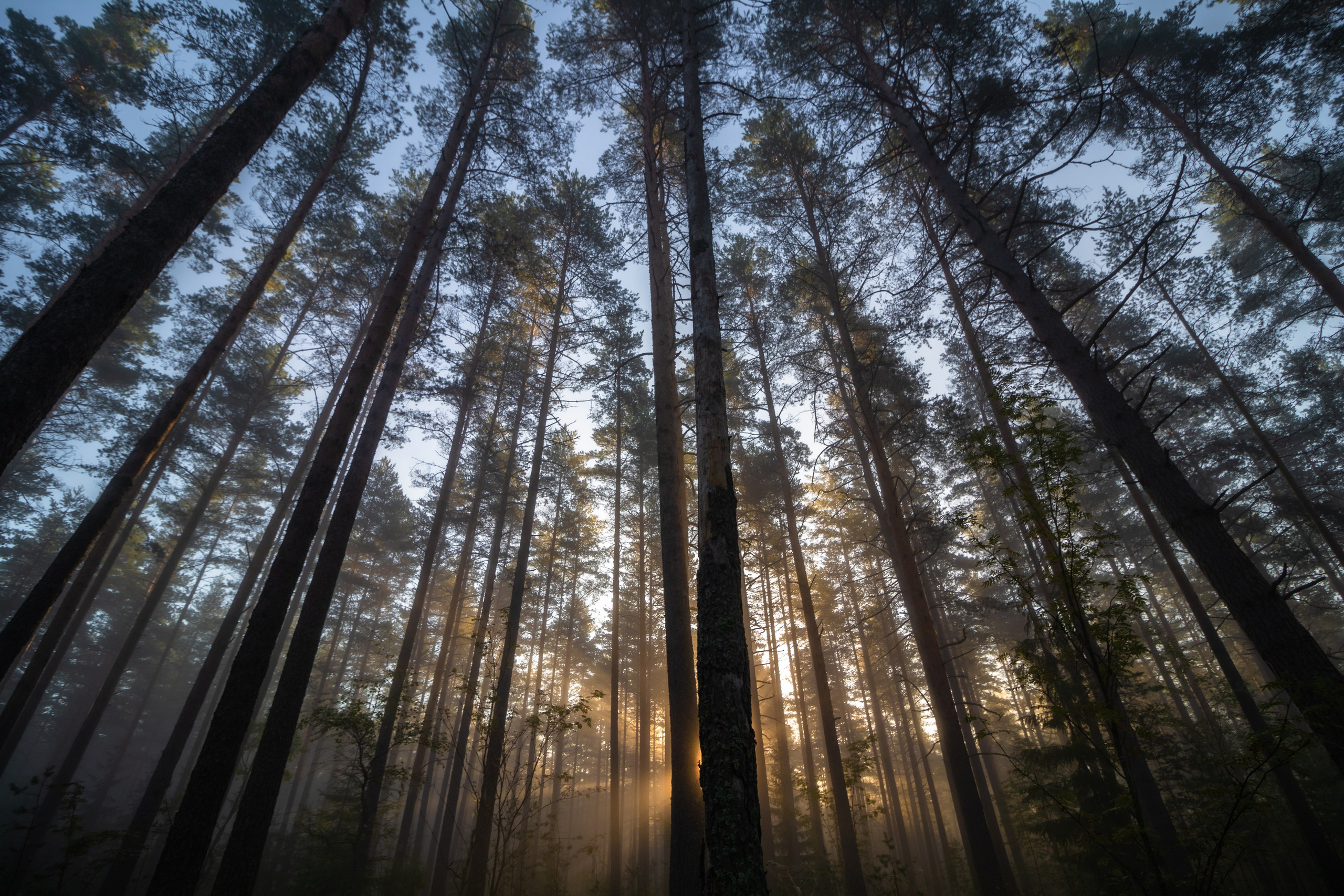 На досуге. Фотограф в Вязьме