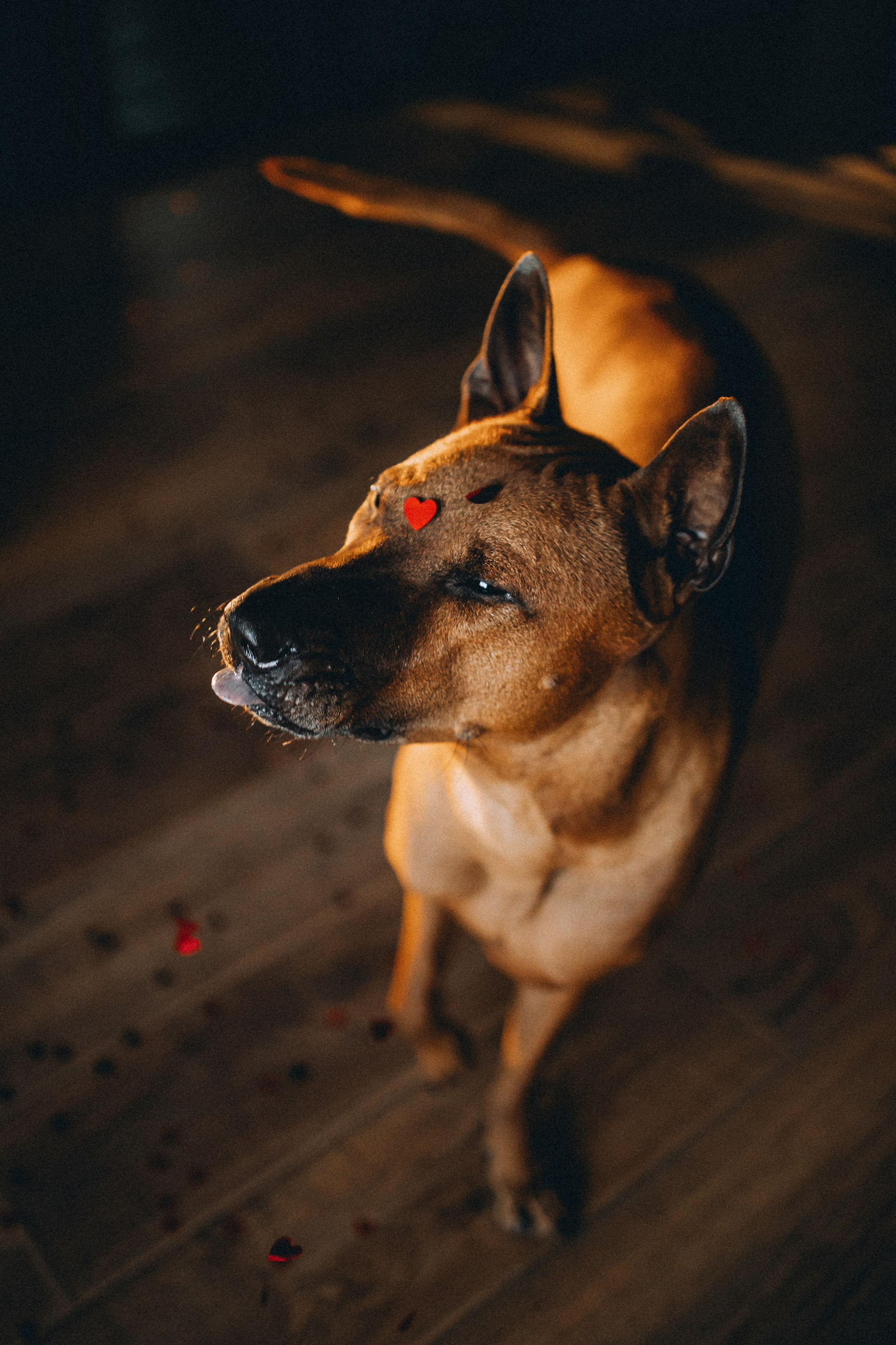 Оксана и Зевс