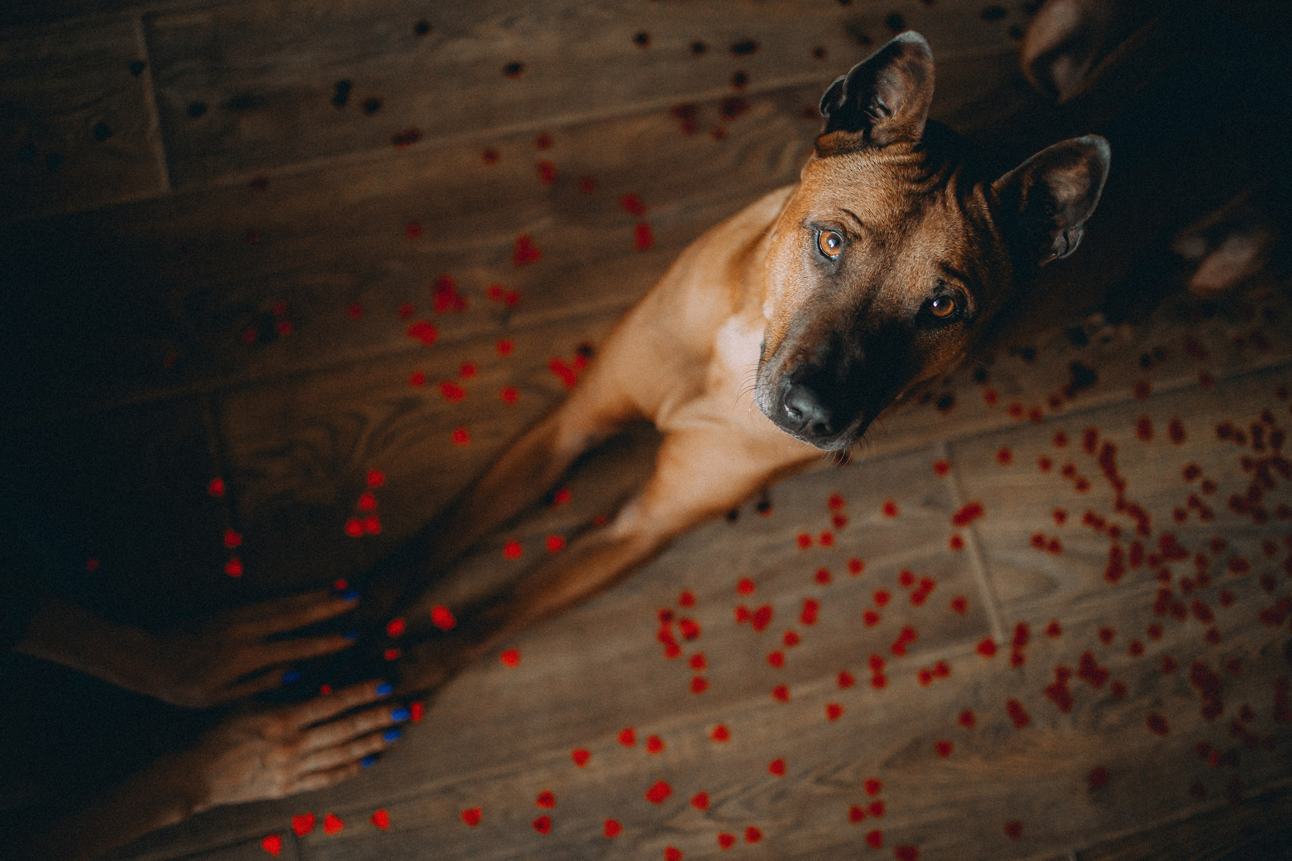 Оксана и Зевс