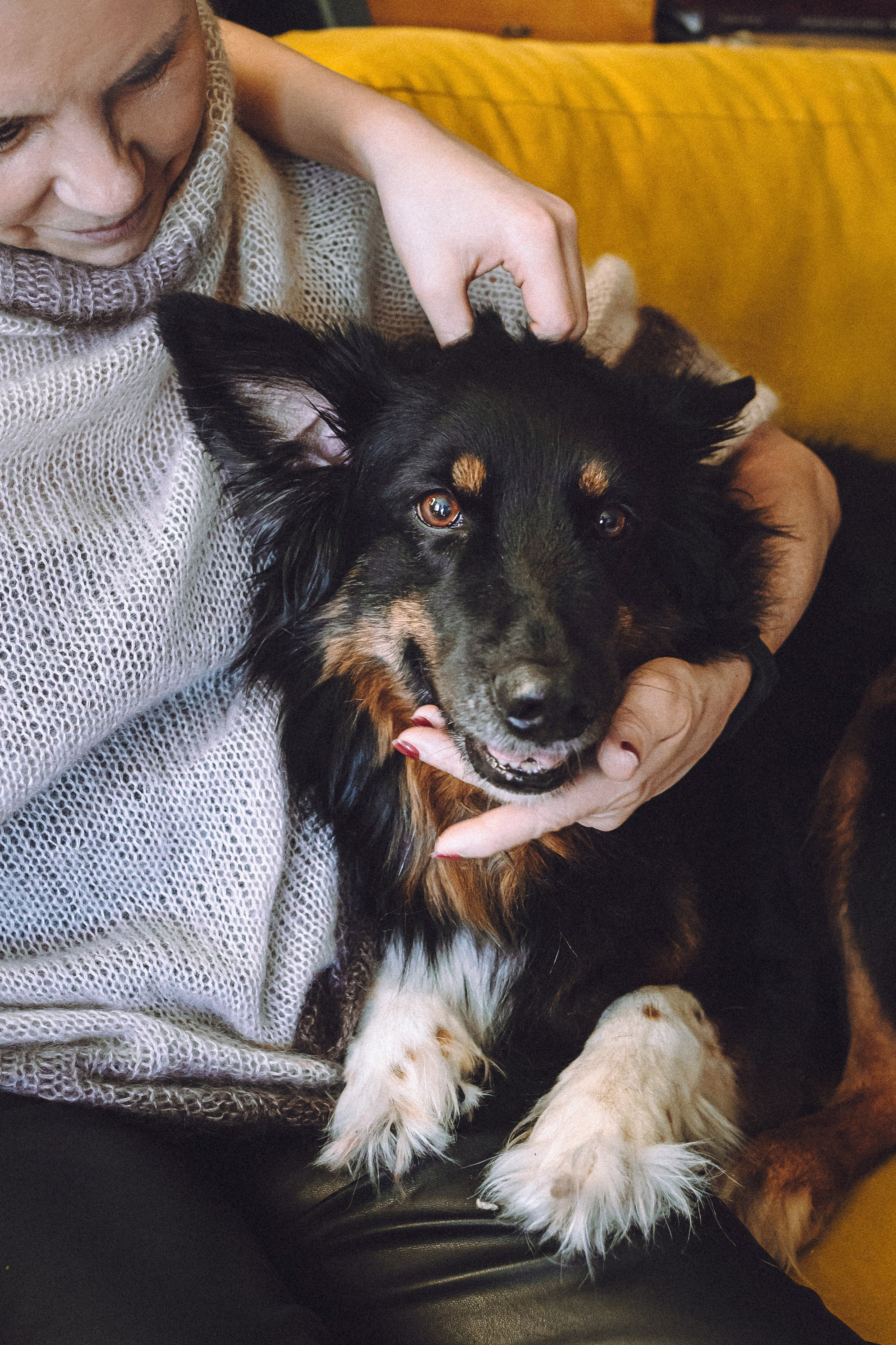 Плюш, Айса и их семья