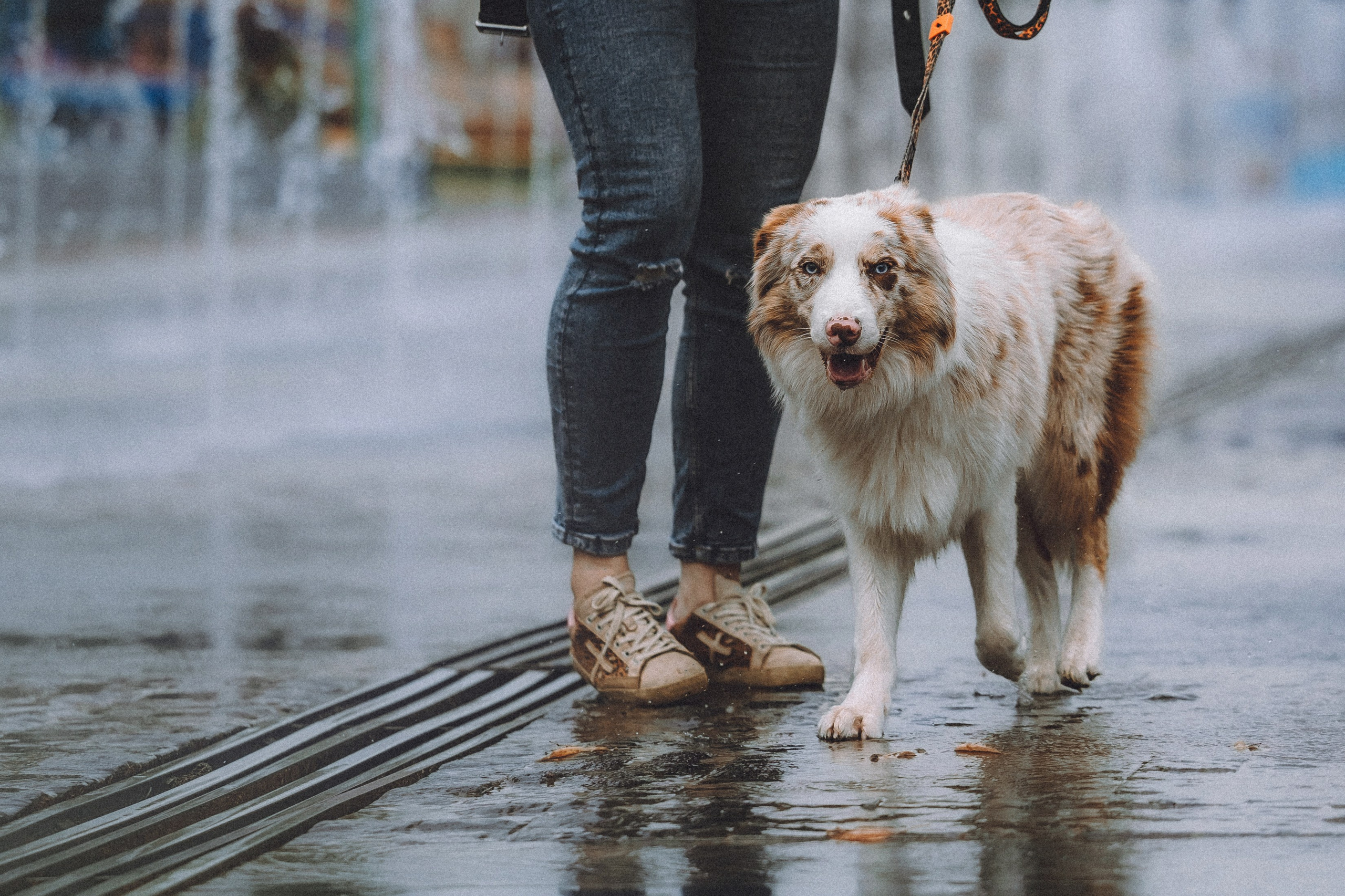 Один и его семья