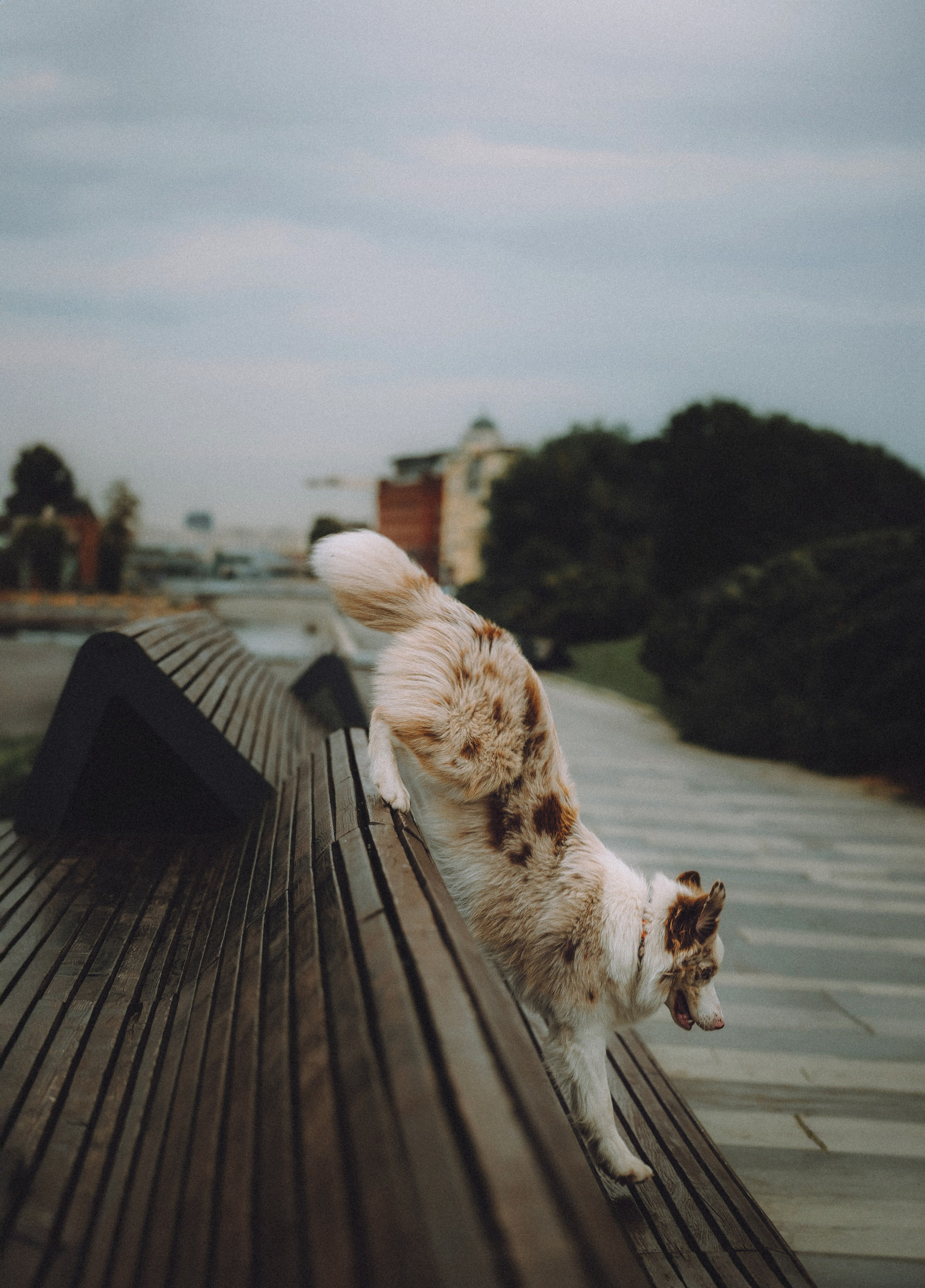 Один и его семья